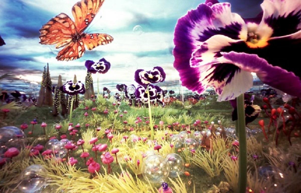 Figurative Photograph di Bethany de Forest - Viola Vlinder Butterfly Fotografia stenopeica su plexiglas resistente ai raggi UV Dibond