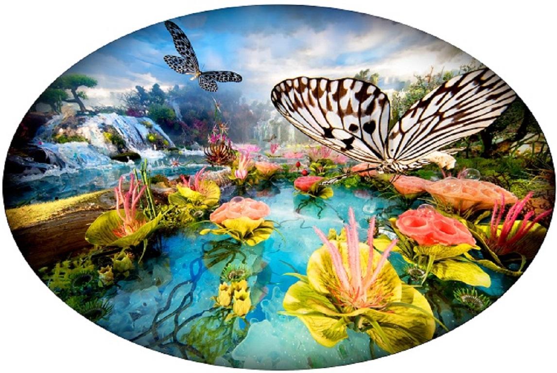Waterfall butterflies  Pinhole Photo on Dibond with UV Resistant Plexiglass