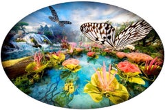 Waterfall butterflies 瀑布蝴蝶 Pinhole Photo on Dibond with UV Resistant Plexiglass