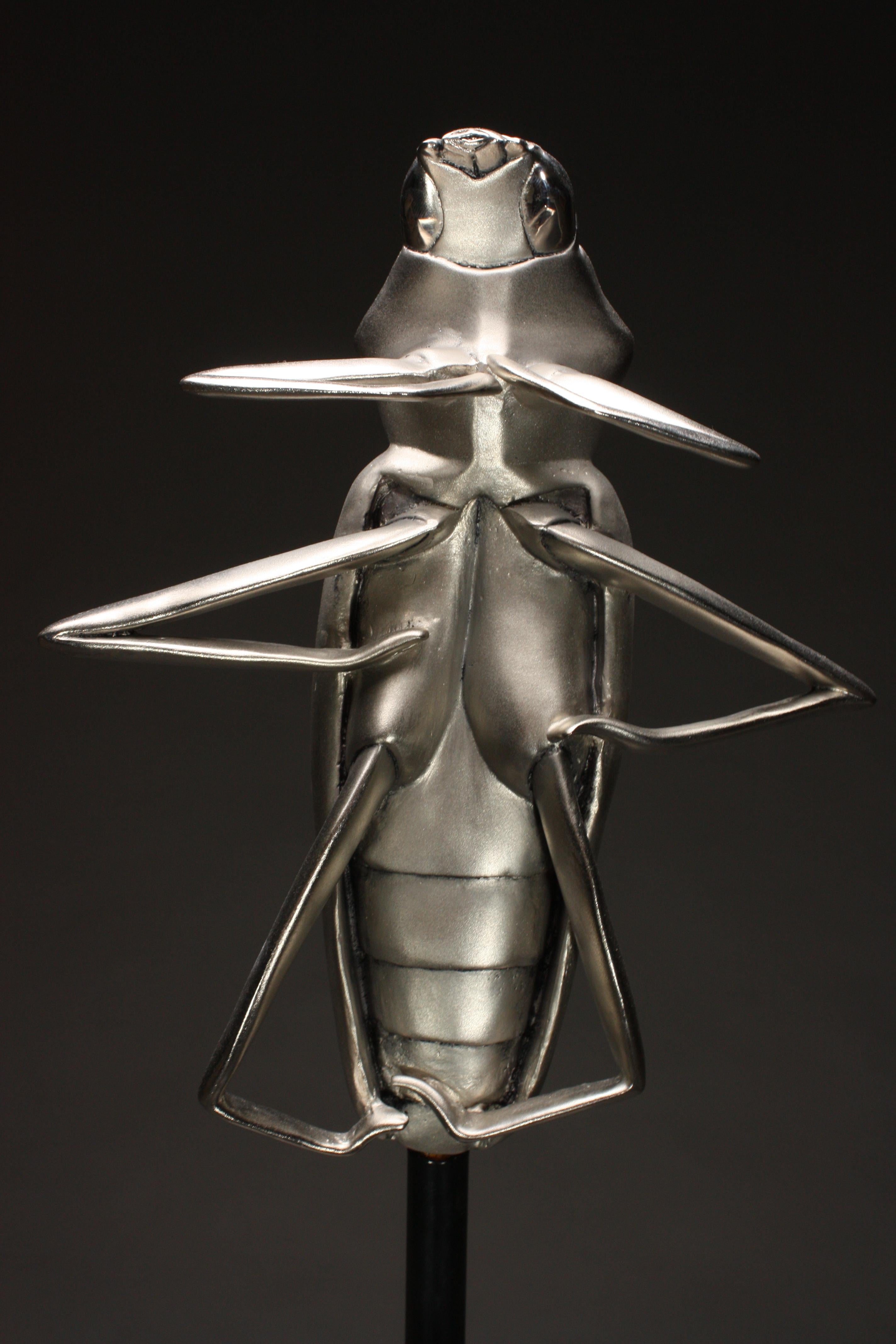 Cette étonnante sculpture de scarabée en bronze nickelé tourne en douceur sur sa base en acier revêtu de poudre avec un roulement à billes de haute qualité.  L'insecte est sculpté à l'origine dans l'argile, moulé puis coulé en cire pour le procédé