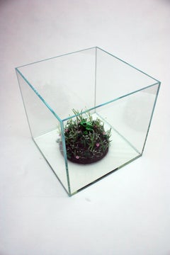 Sculpture de grenouille dans un aquarium en verre, "Last of Her Kind" de Bethany Krull