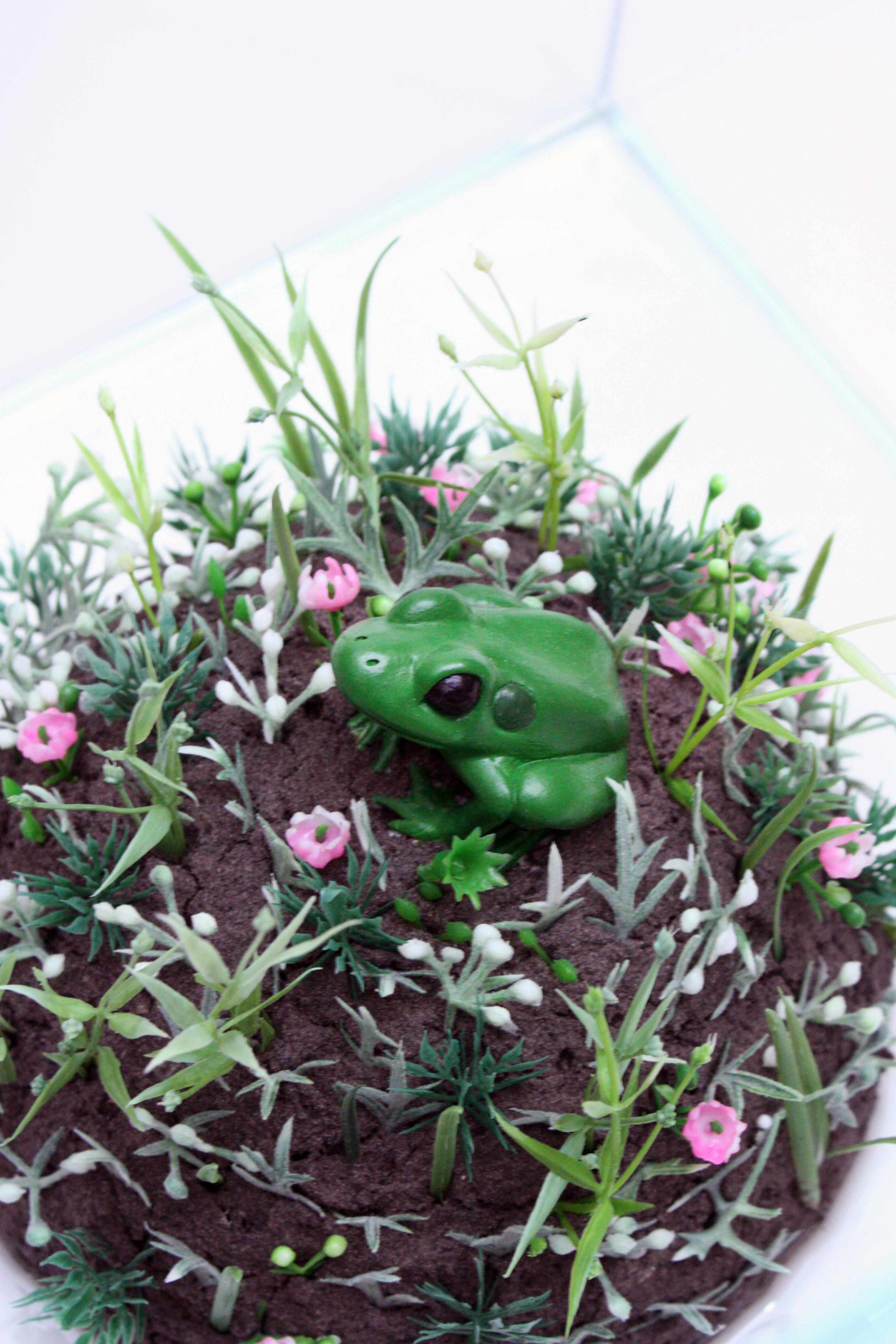 Keramikfrosch-Skulptur eines Froschs in einem Glasaquarium, „Last of Her Kind“ von Bethany Krull im Angebot 4