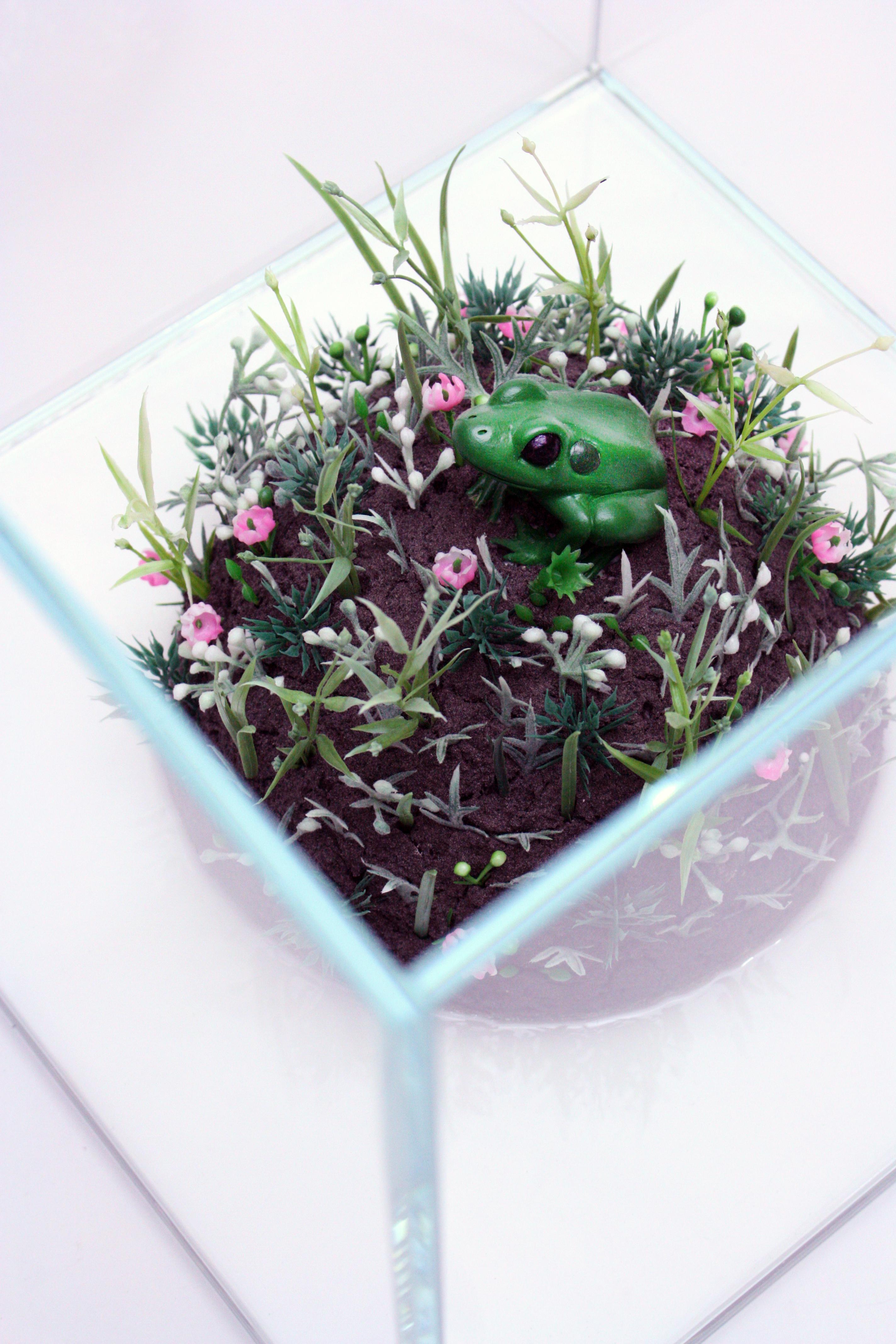 Ceramic Frog Sculpture in a glass aquarium, 