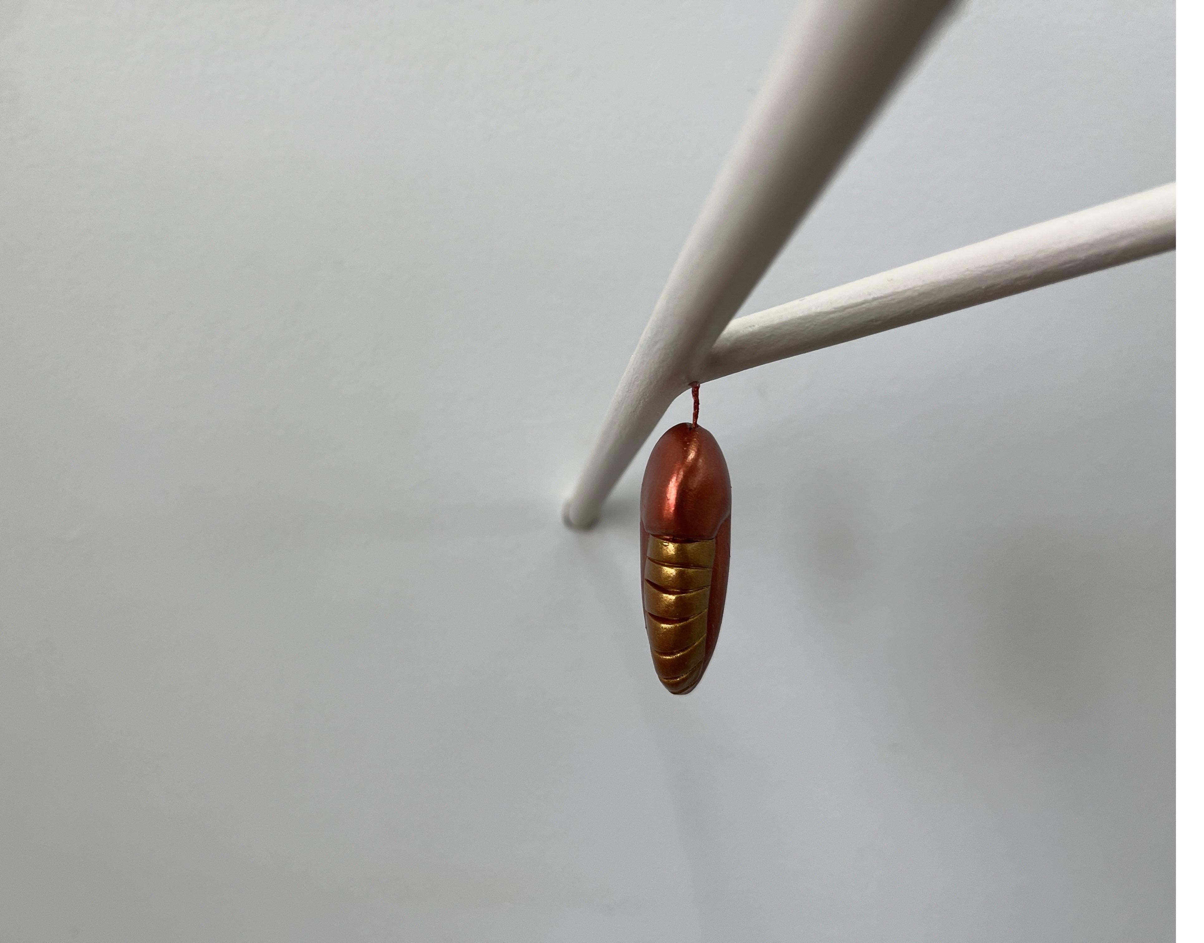 Chrysalis on a minimalist Branch (eight) 2