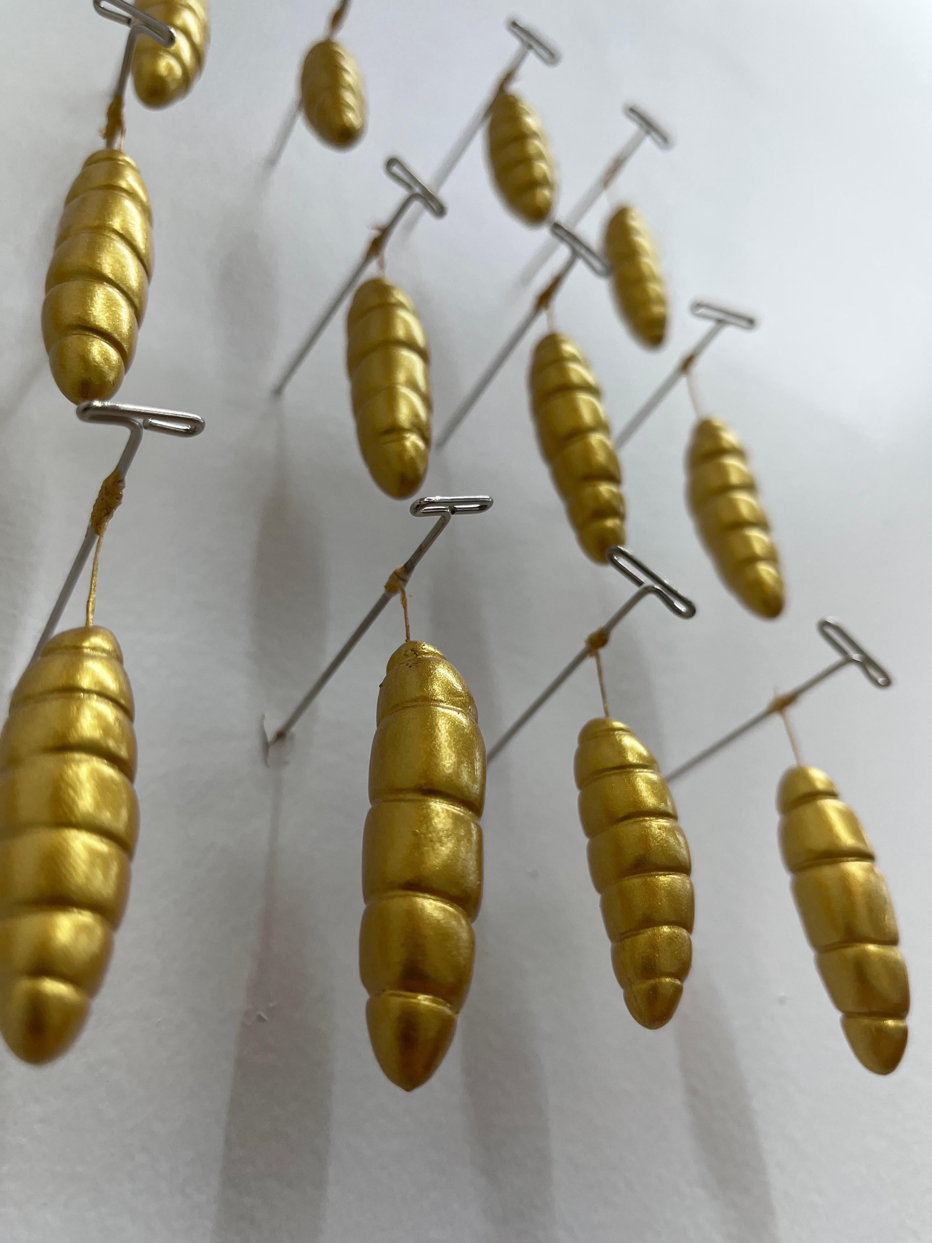 Golden Chrysalis Specimen Grid - Contemporary Sculpture by Bethany Krull
