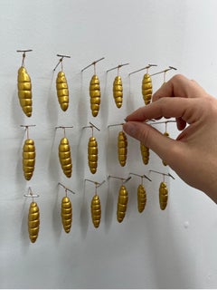 Chrysalis Specimen Grid