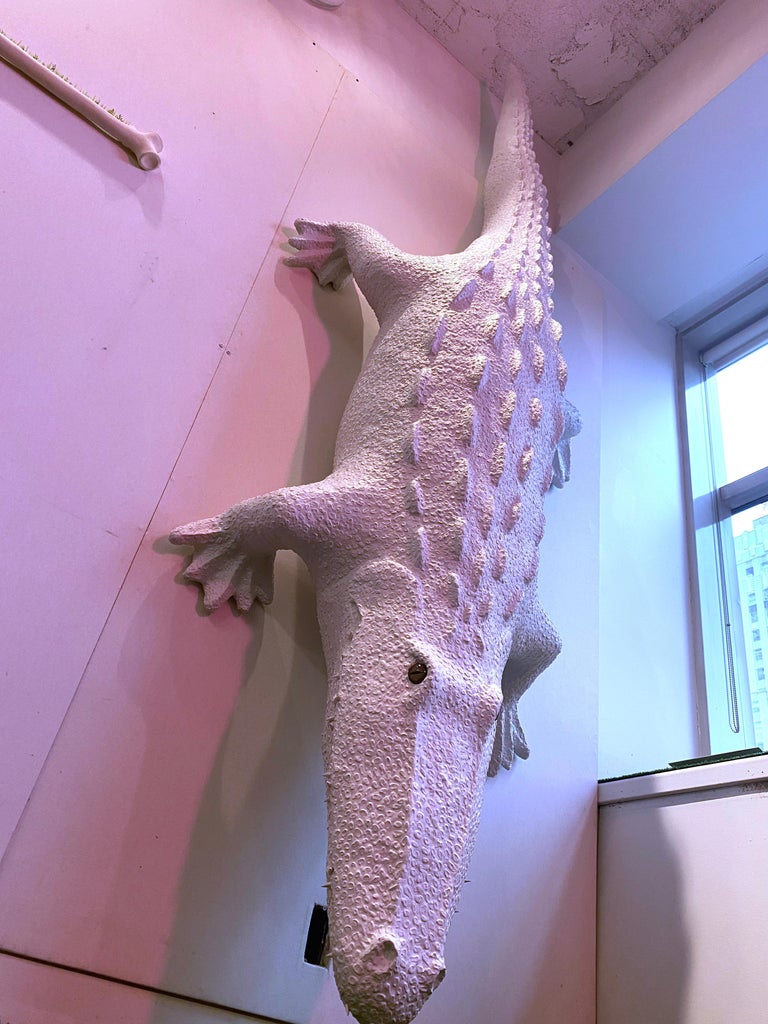 A large scale wall installation depicting an albino alligator, by contemporary sculptor Bethany Krull, which was recently featured in a presentation at SPRING/BREAK Art Fair in New York City.

This work is durable and archival, created with gesso,