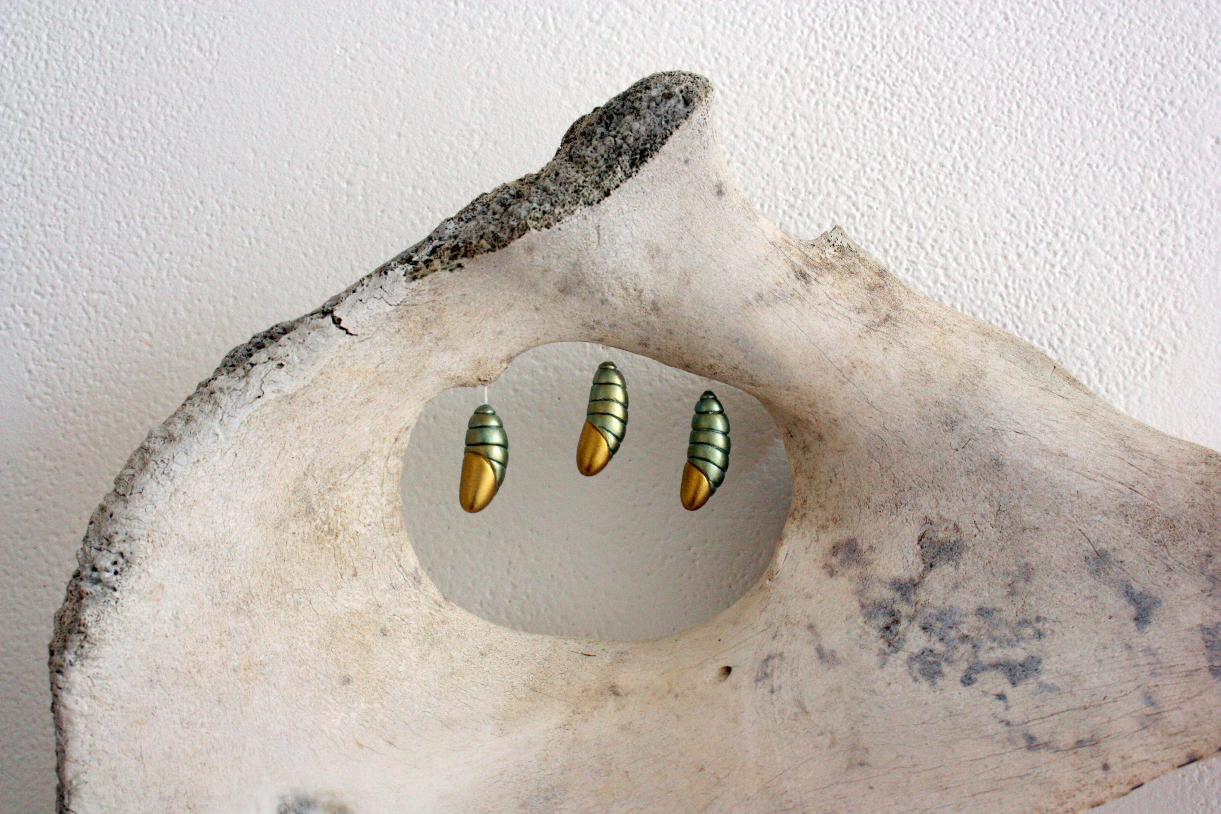 Three delicate and meticulously crafted cocoons hang from the oval opening in a found bone.  Sculpted by hand out of a durable epoxy resin clay and painted with fine metallic paint by the New York artist Bethany Krull the cocoons represent growth