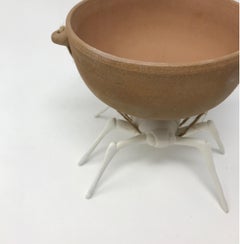 Porcelain and Earthenware "Bowl-back Beetle" by Bethany Krull