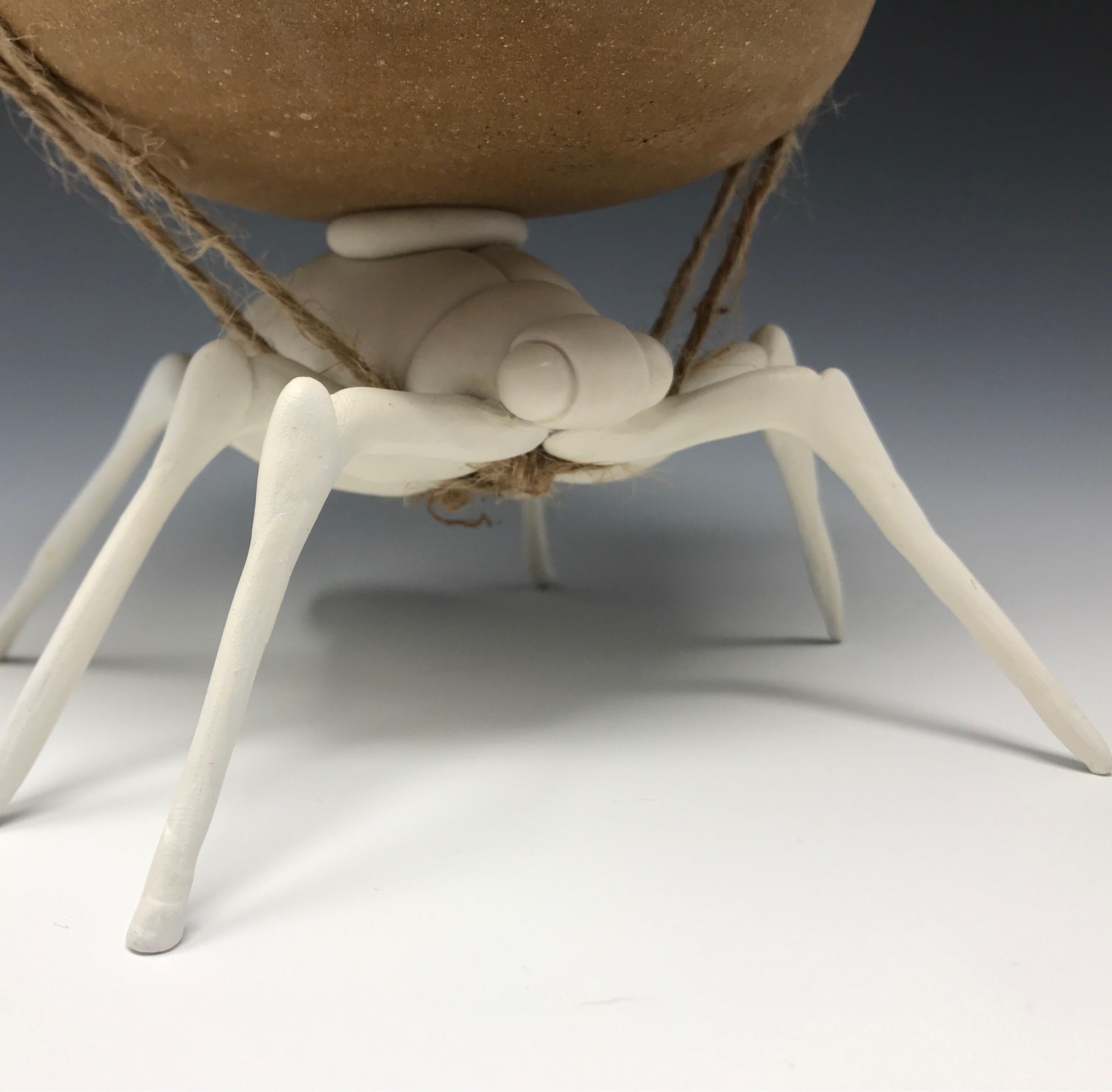 Porcelaine et faïence Beetle 