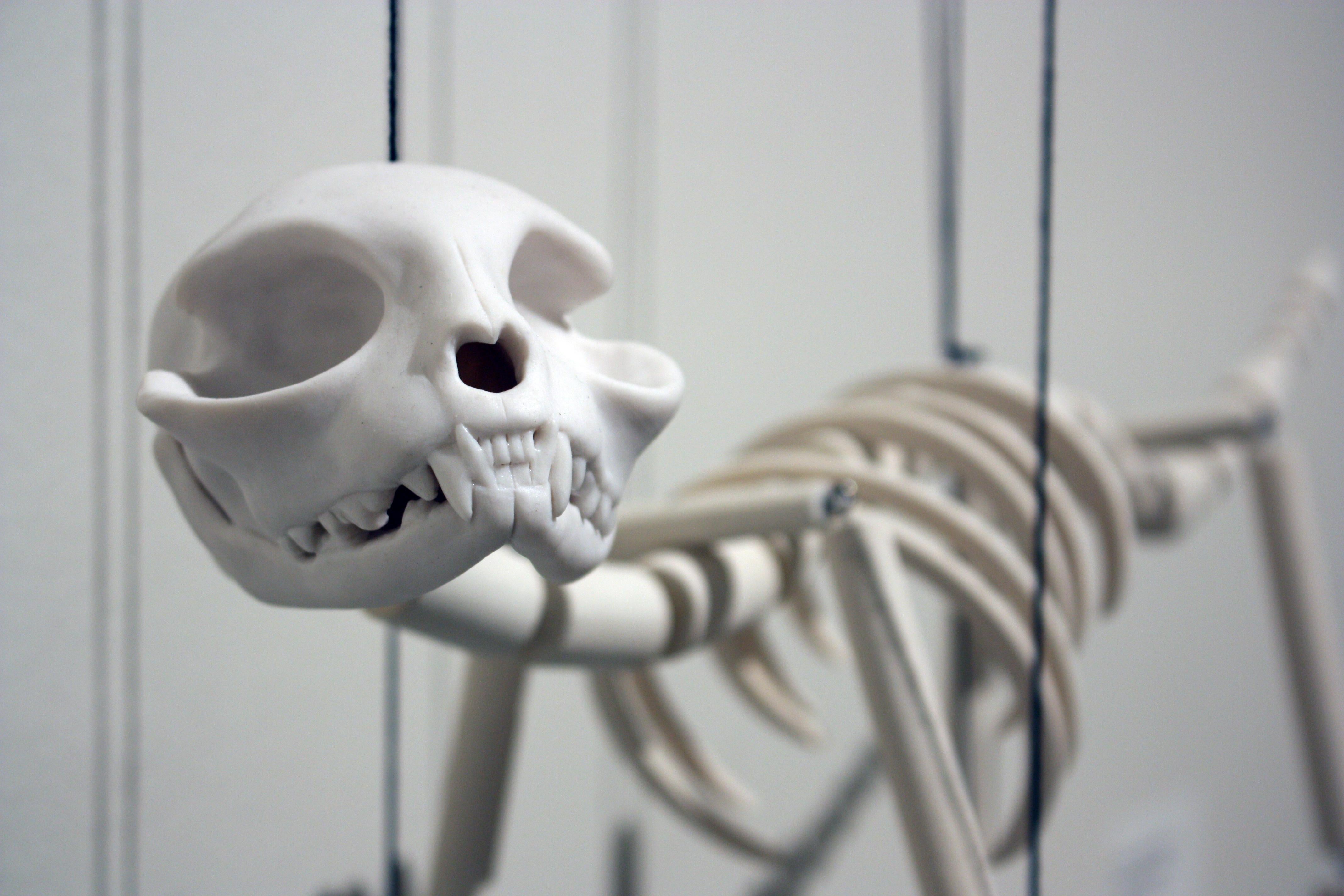 Porcelain and Wood Cat Skeleton Marrionette "Resurrection of Fluffy" 