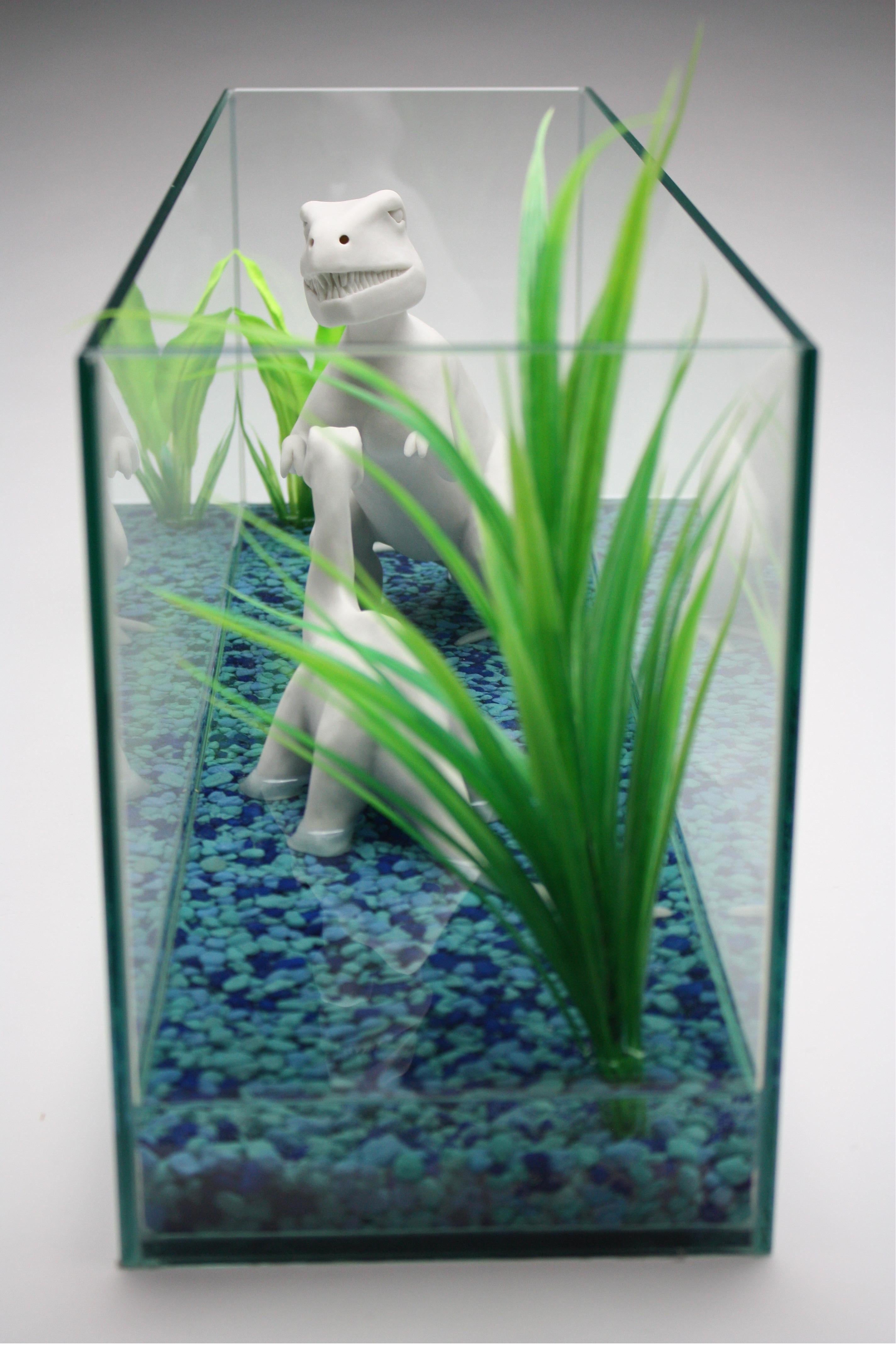 dino pet micro aquarium