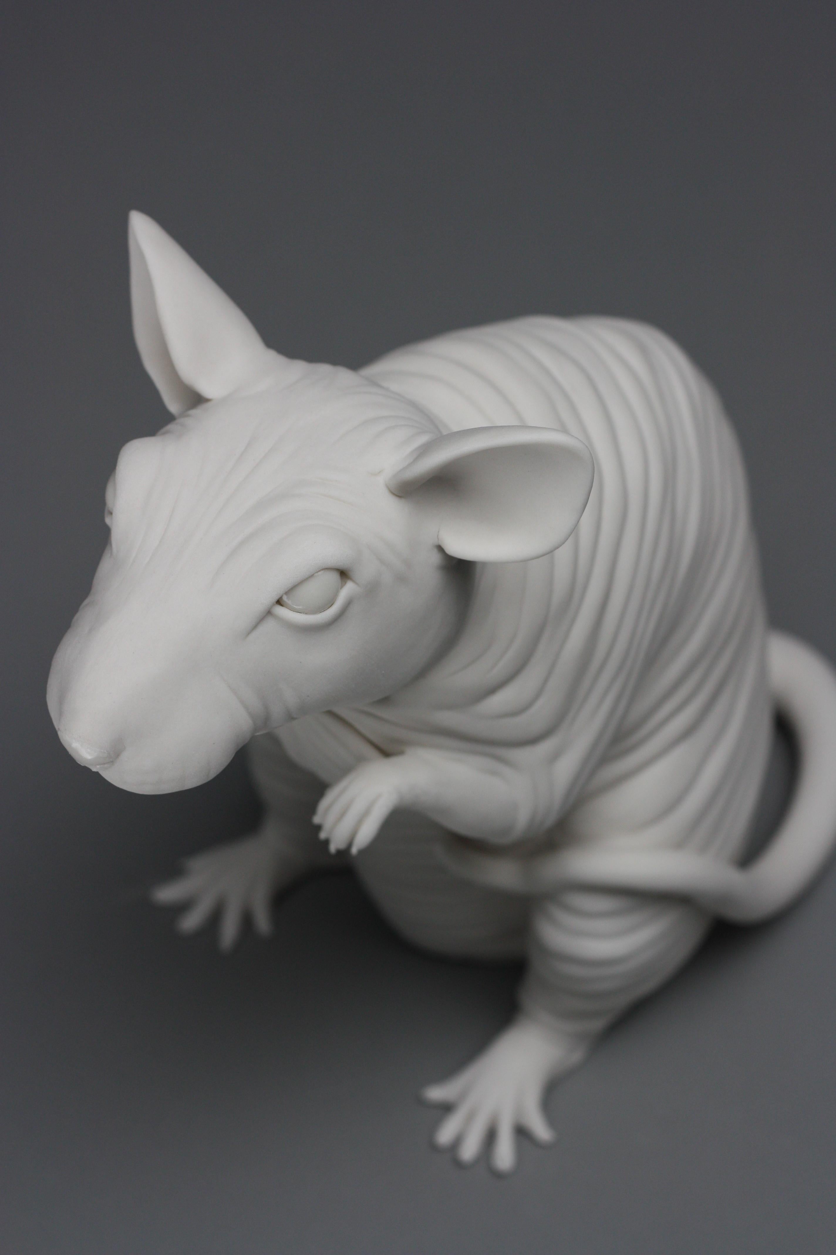 This exquisite porcelain, hairless, rat sculpture is hand-built without the use of molds by New York artist, Bethany Krull.  The super white porcelain is built solid on a system of armatures.  Once the details and surface are perfect, Krull