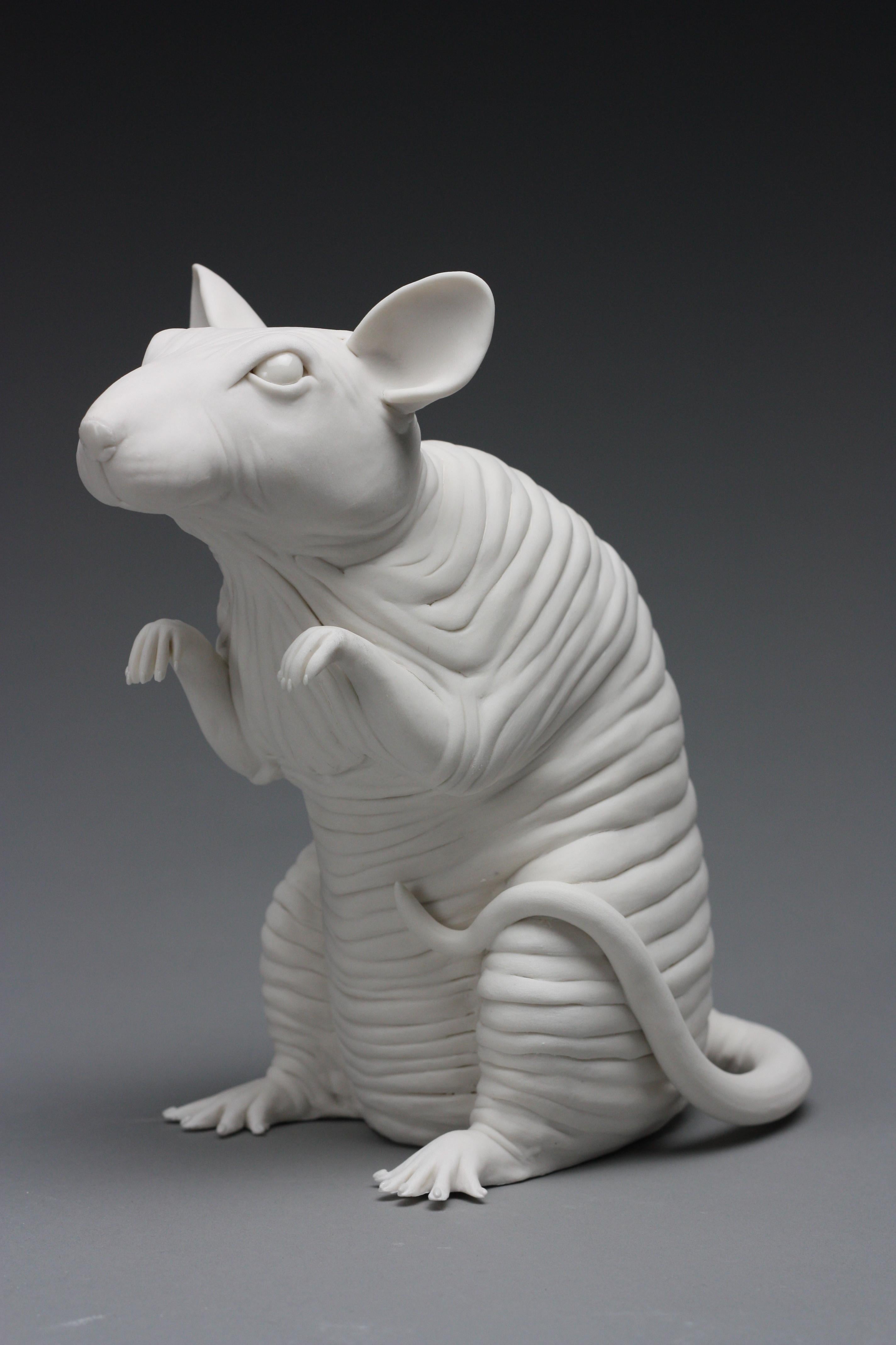 Diese exquisite haarlose Ratten-Skulptur aus Porzellan wurde von der New Yorker Künstlerin Bethany Krull von Hand und ohne Verwendung von Gussformen hergestellt.  Das superweiße Porzellan ist auf einem System von Armaturen fest aufgebaut.  Sobald