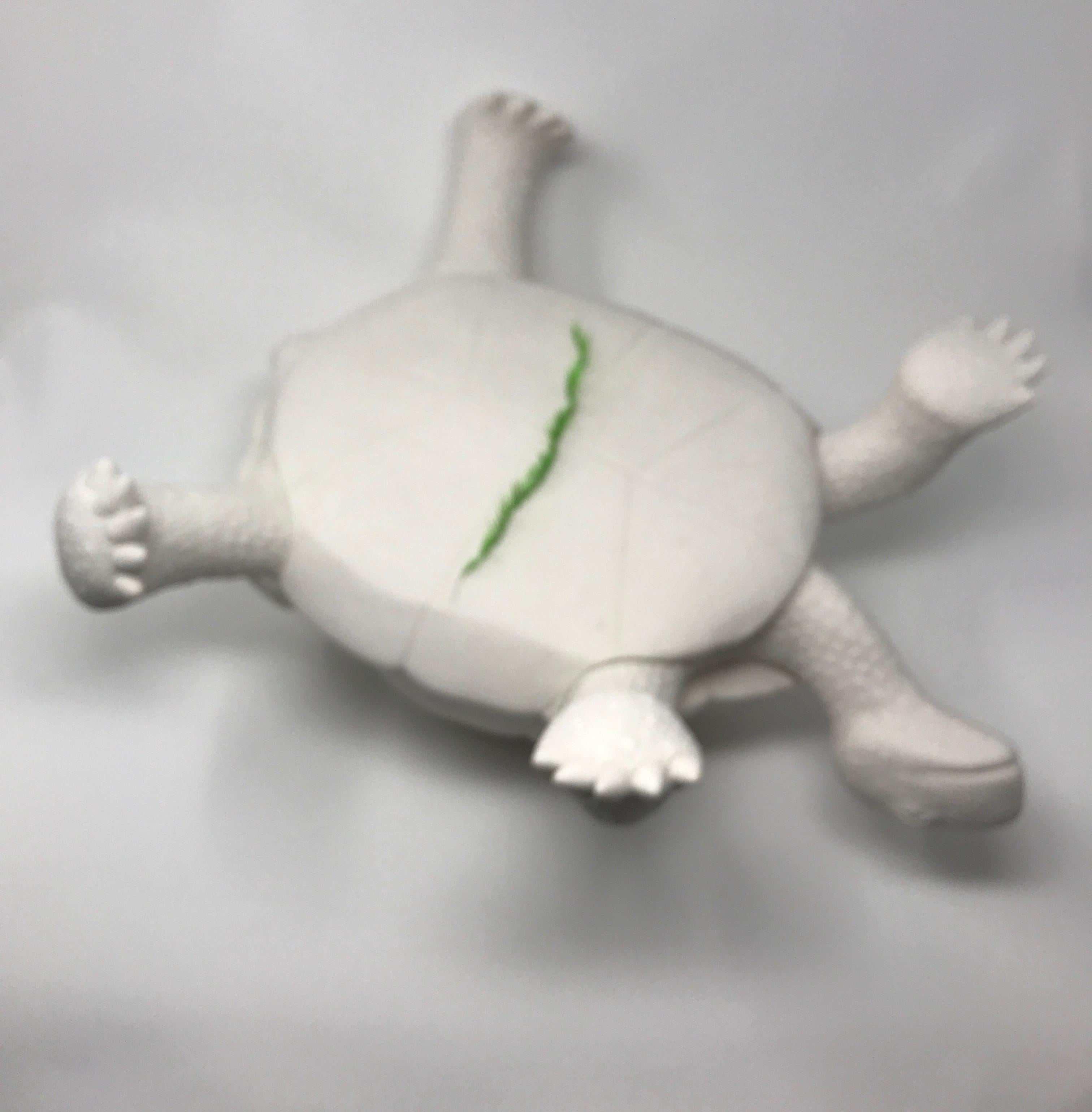 Porcelain Tortoise 