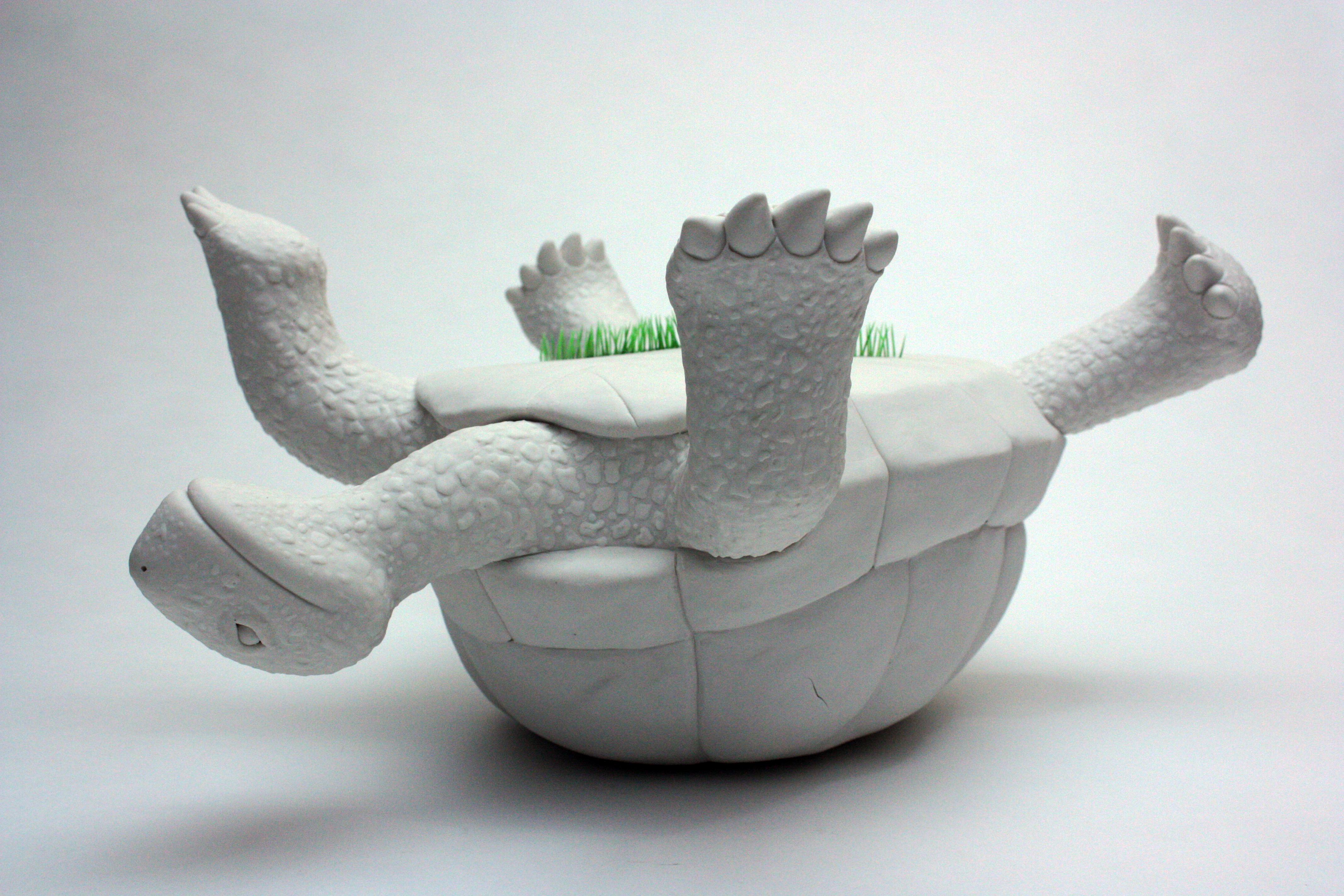 Porcelain Tortoise 