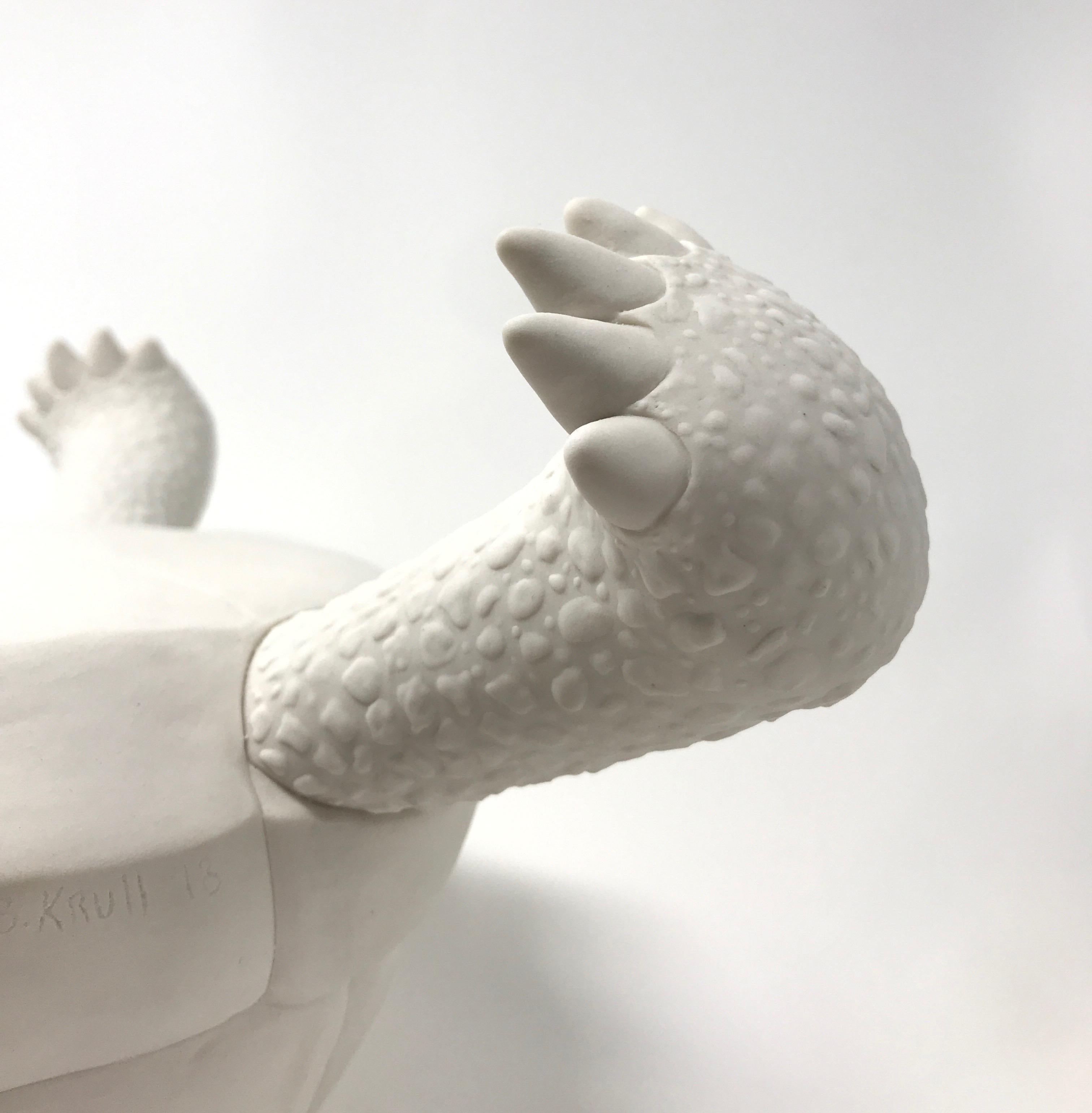 Porcelain Tortoise 