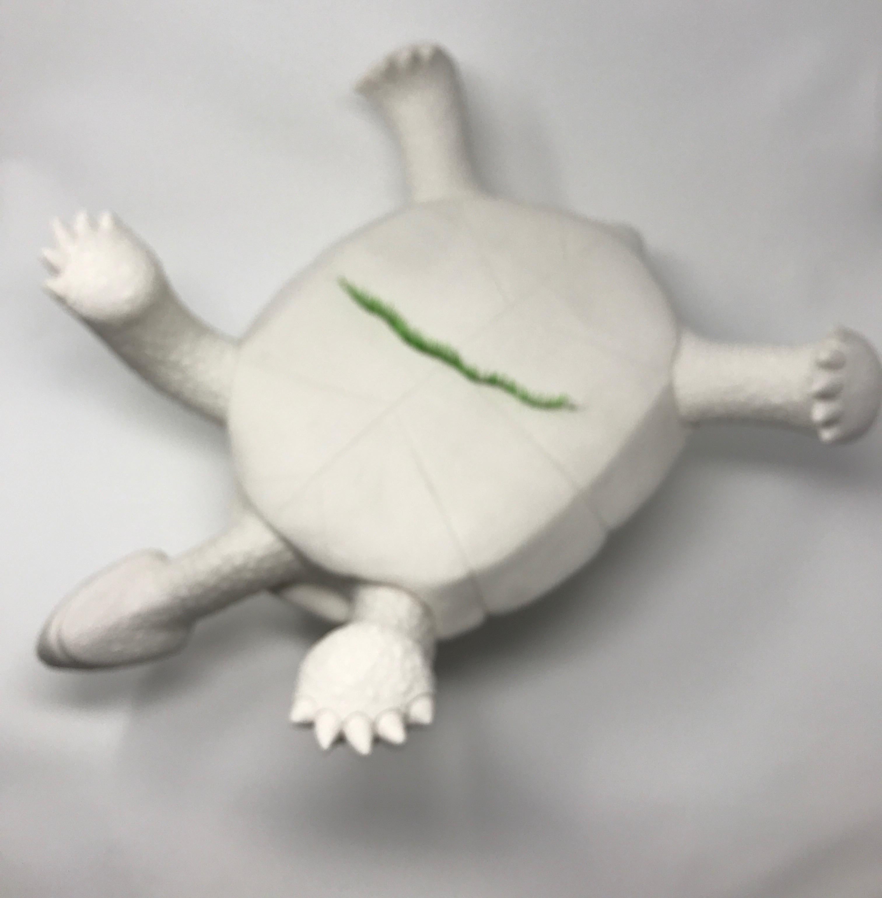 Porcelain Tortoise 