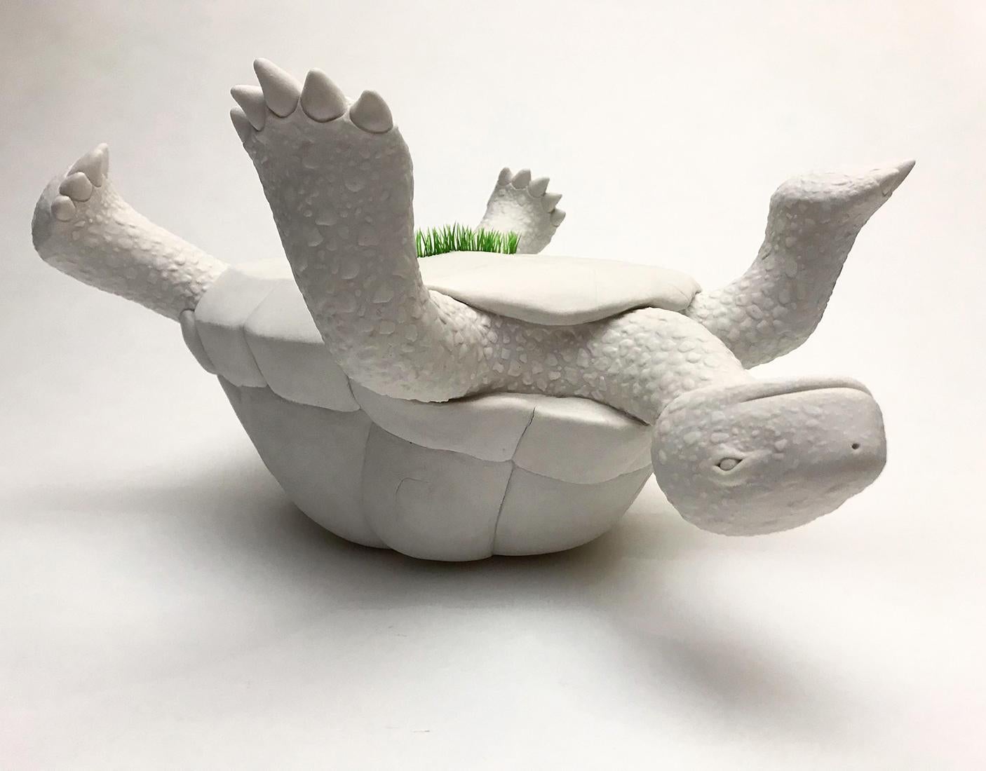 Porcelain Tortoise "Capsized" by Bethany Krull 