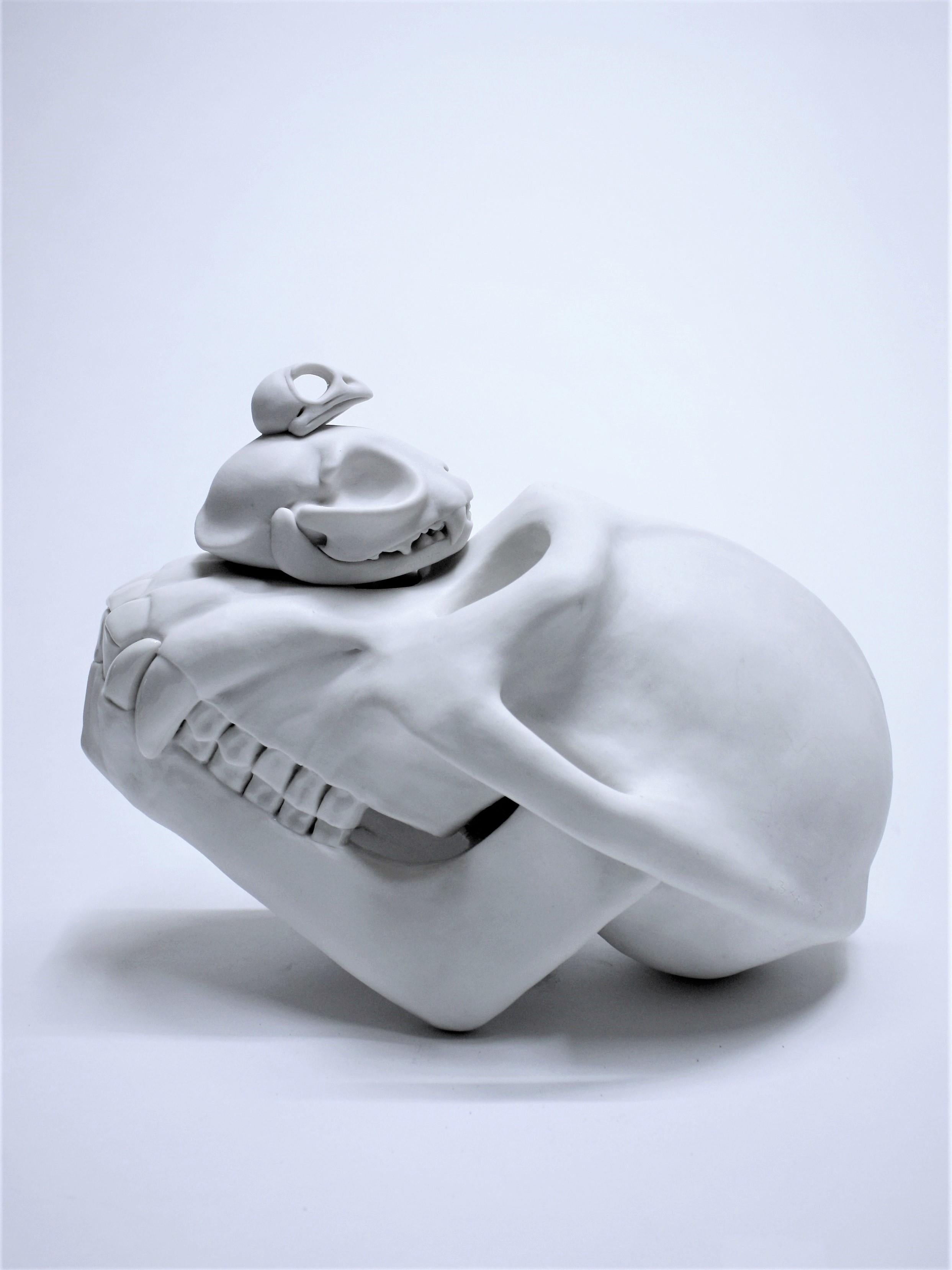 Escultura Contemporánea de Porcelana Cráneo Blanco Animal Bethany Krull Artista Femenina
