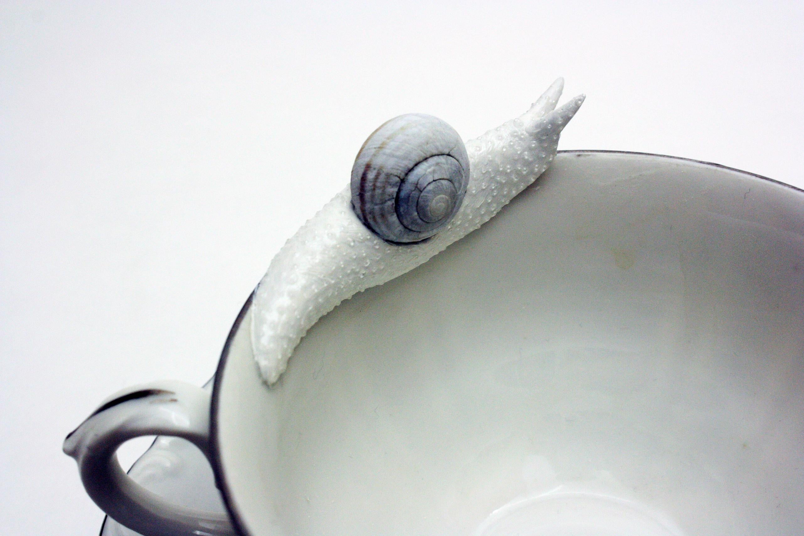 snail teapot