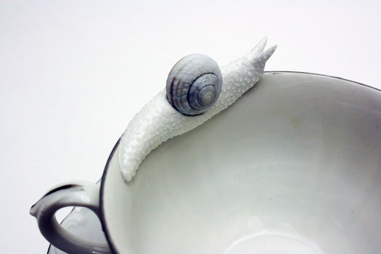 Snails on a Blue Floral Teacup 