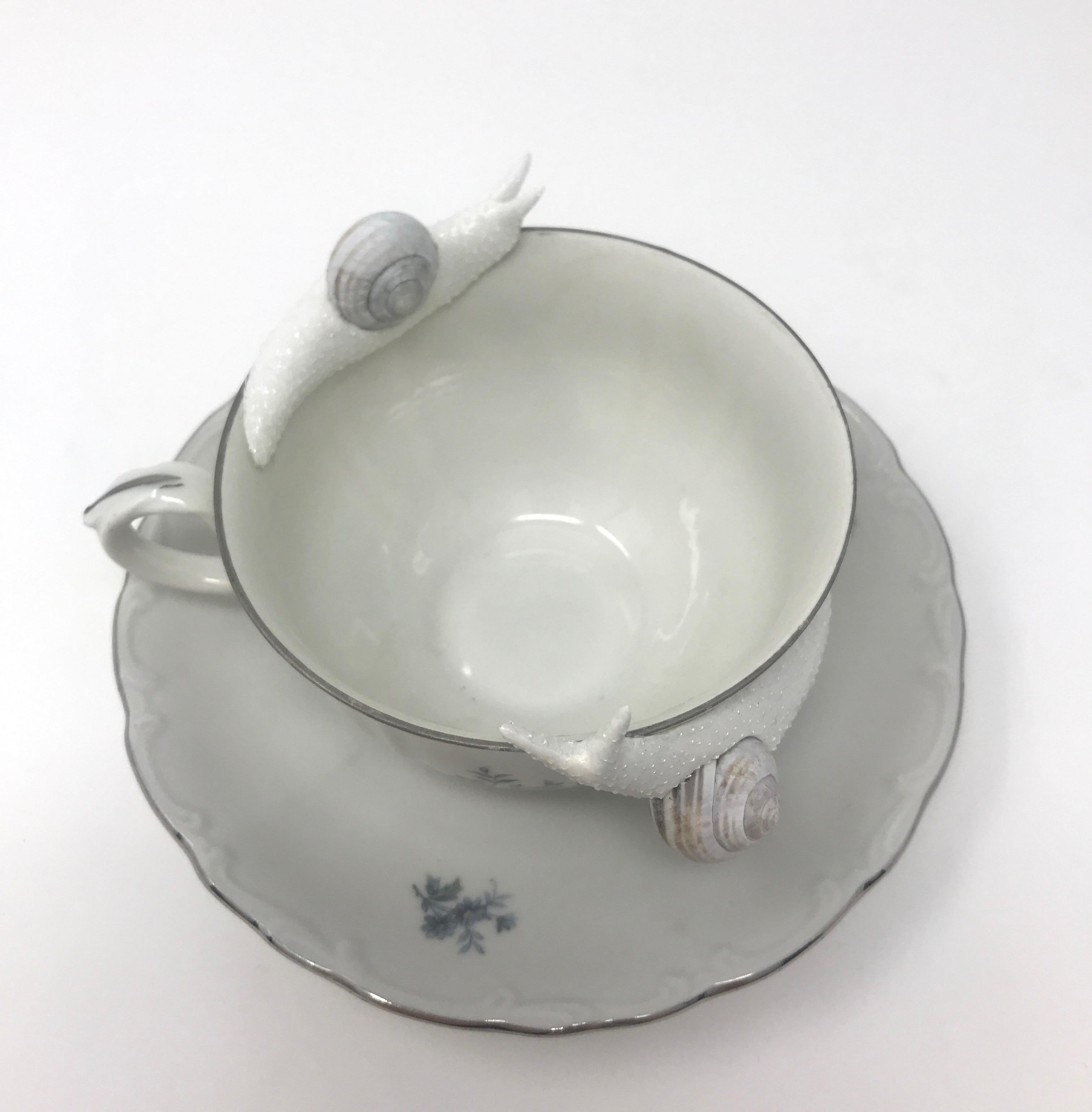 This piece was created with real found snail shells and a durable epoxy clay by New York artist, Bethany Krull.  She sculpts the undulating snail bodies to circle the delicate rim of the floral teacup.  The glistening wet bodies are surfaced with