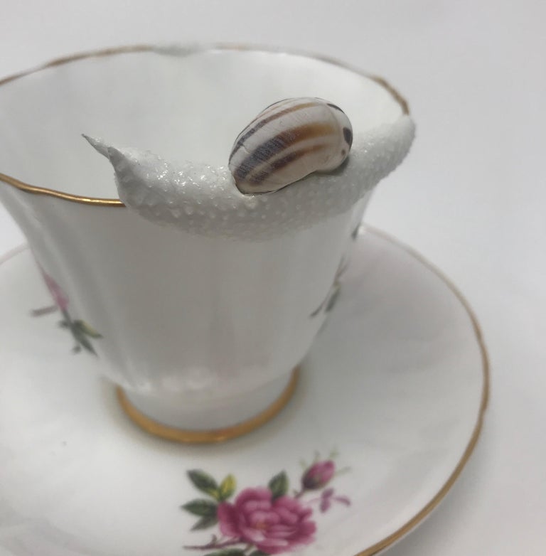 Snails on a Pink Floral Teacup 