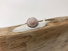 Des escargots sur un planche altérée traversant du bois altéré de Bethany Krull