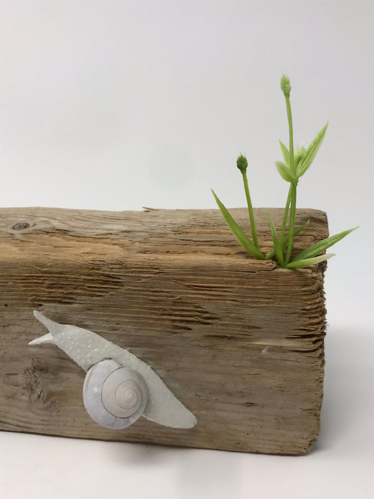 Snails On a Weathered Board “Traversing Weathered Wood” by Bethany Krull For Sale 2