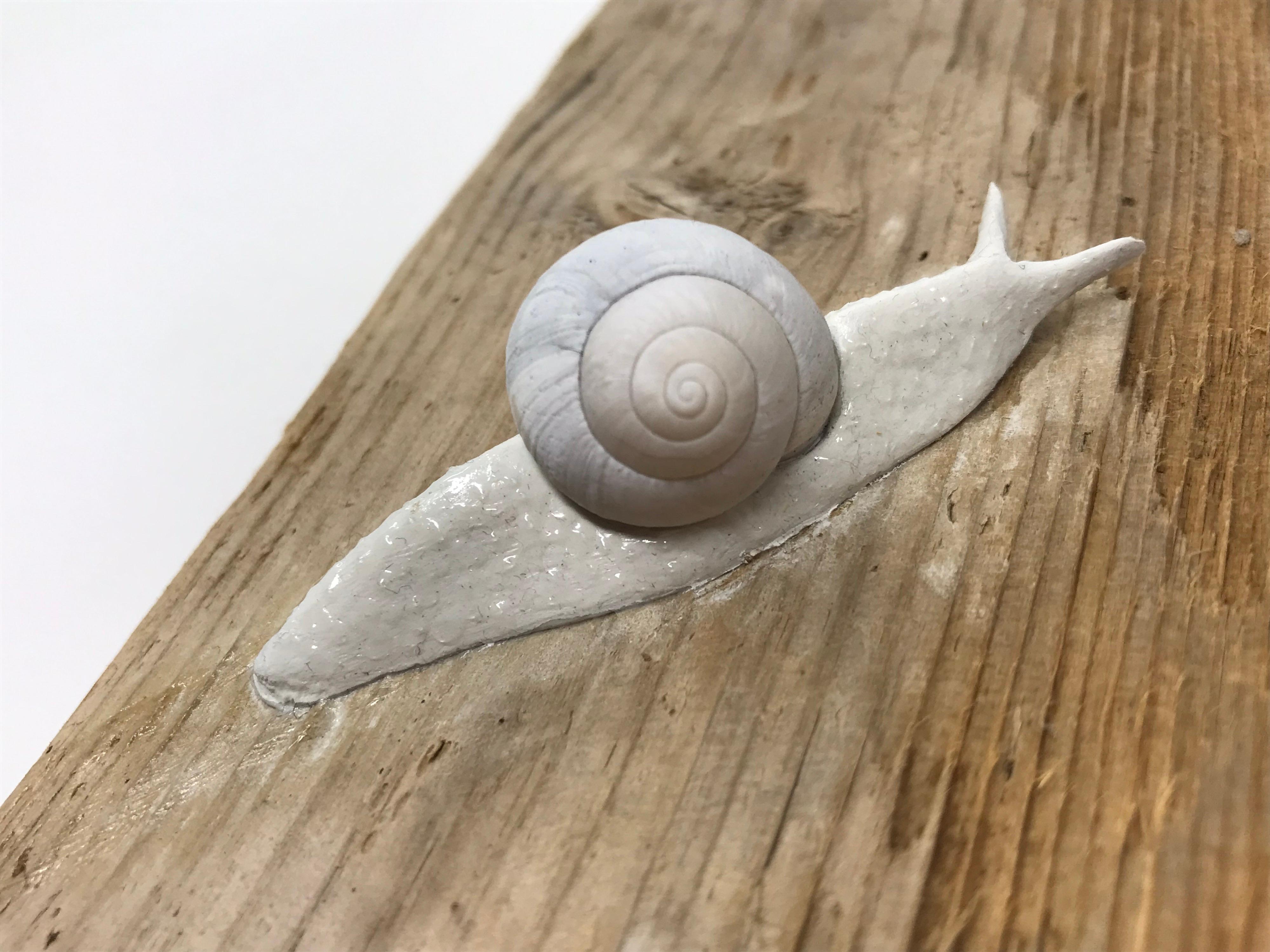 Snails On a Weathered Board “Traversing Weathered Wood” by Bethany Krull For Sale 1