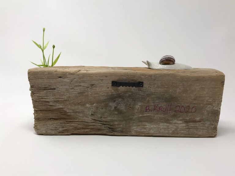 Snails On a Weathered Board “Traversing Weathered Wood” by Bethany Krull For Sale 6
