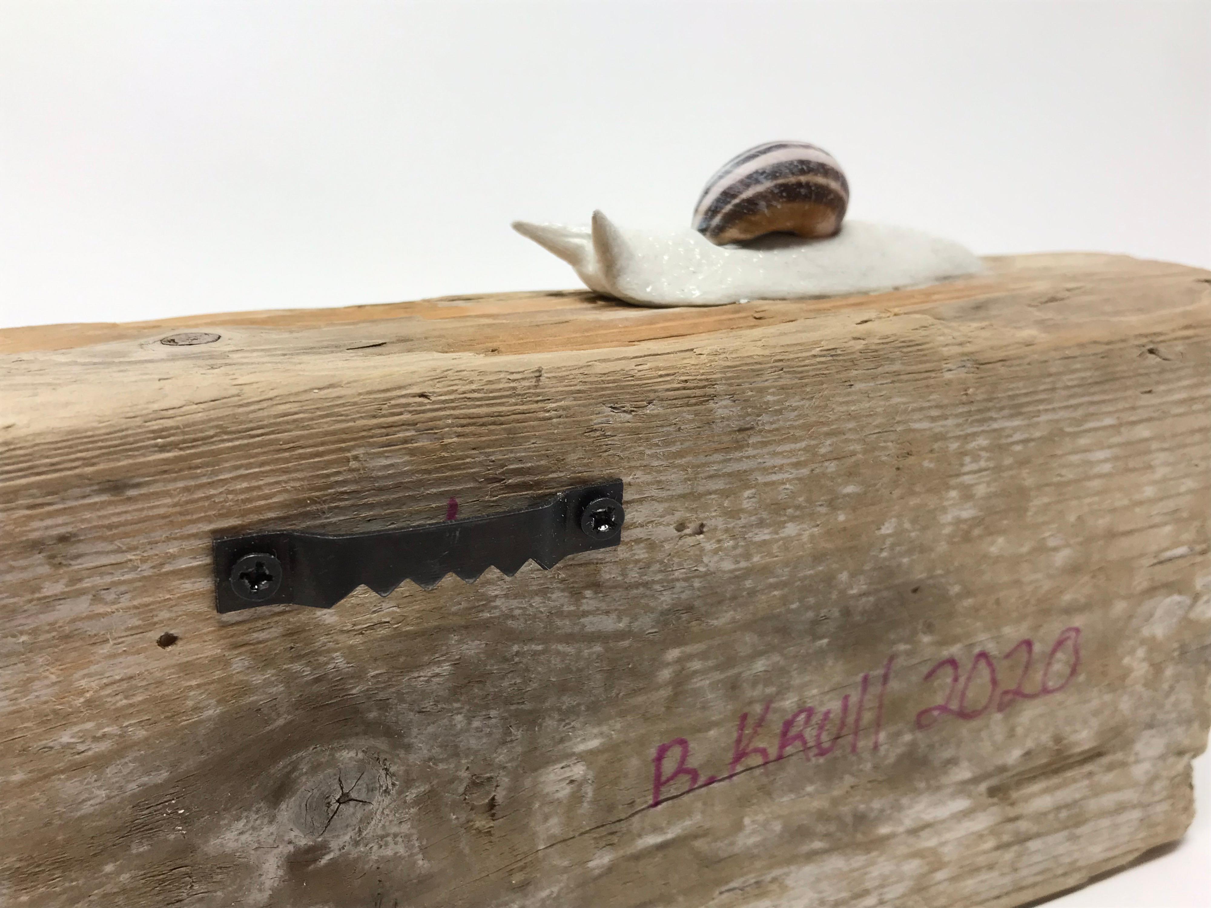 Des escargots sur un planche altérée traversant du bois altéré de Bethany Krull en vente 7