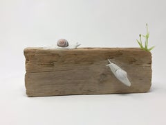 Des escargots sur un planche altérée traversant du bois altéré de Bethany Krull