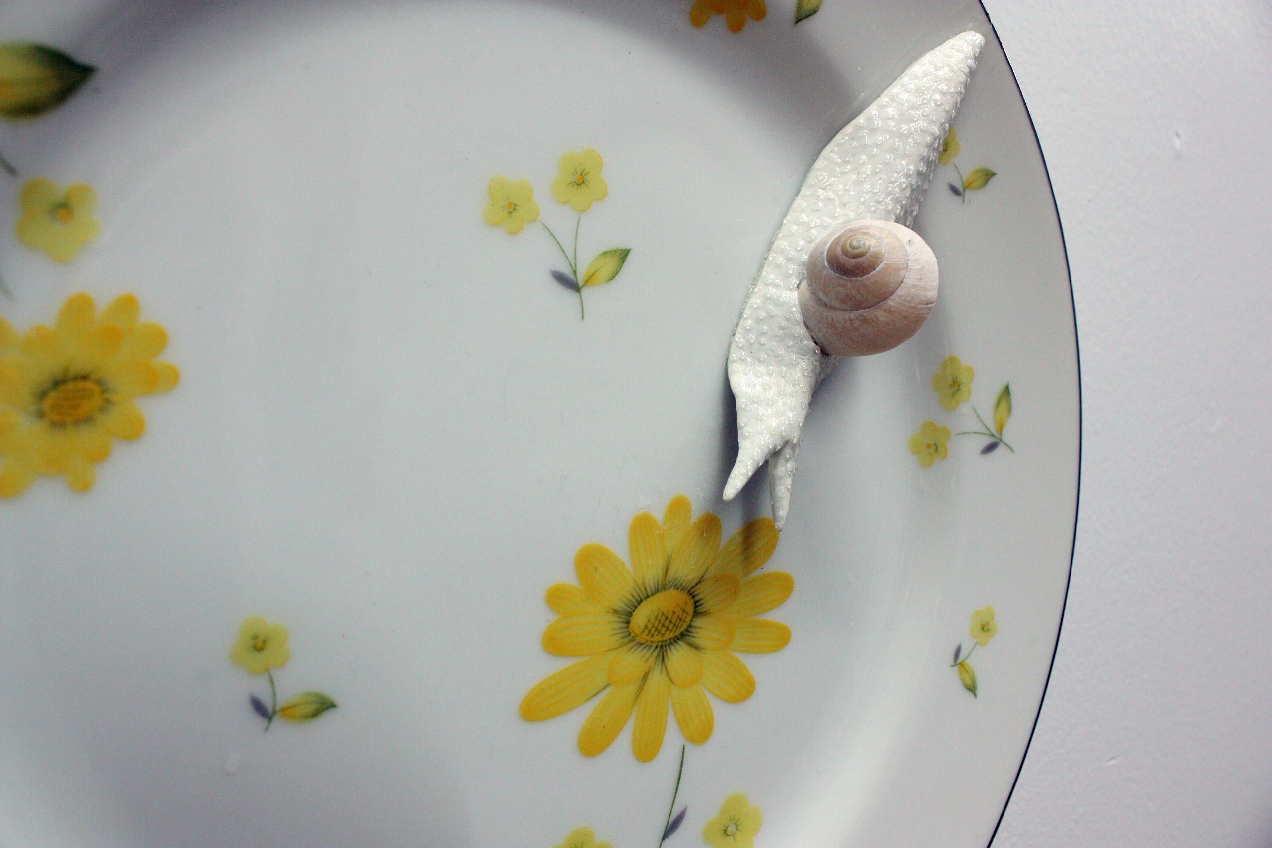 coquille escargot ceramique leclerc