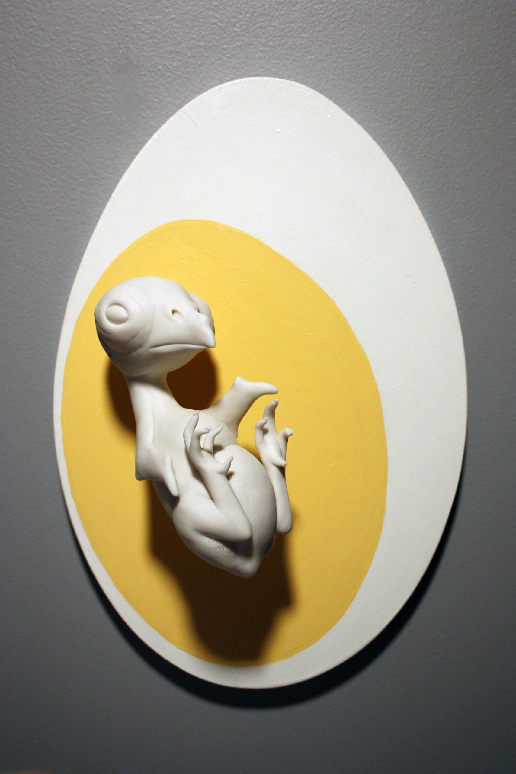 White Porcelain Bird Inside Egg, Wall Sculpture "Hatch" by Bethany Krull 