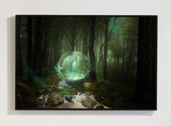 Foresta immaginaria 6, stampa a pigmenti d'archivio, incorniciata, 16 x 24 pollici