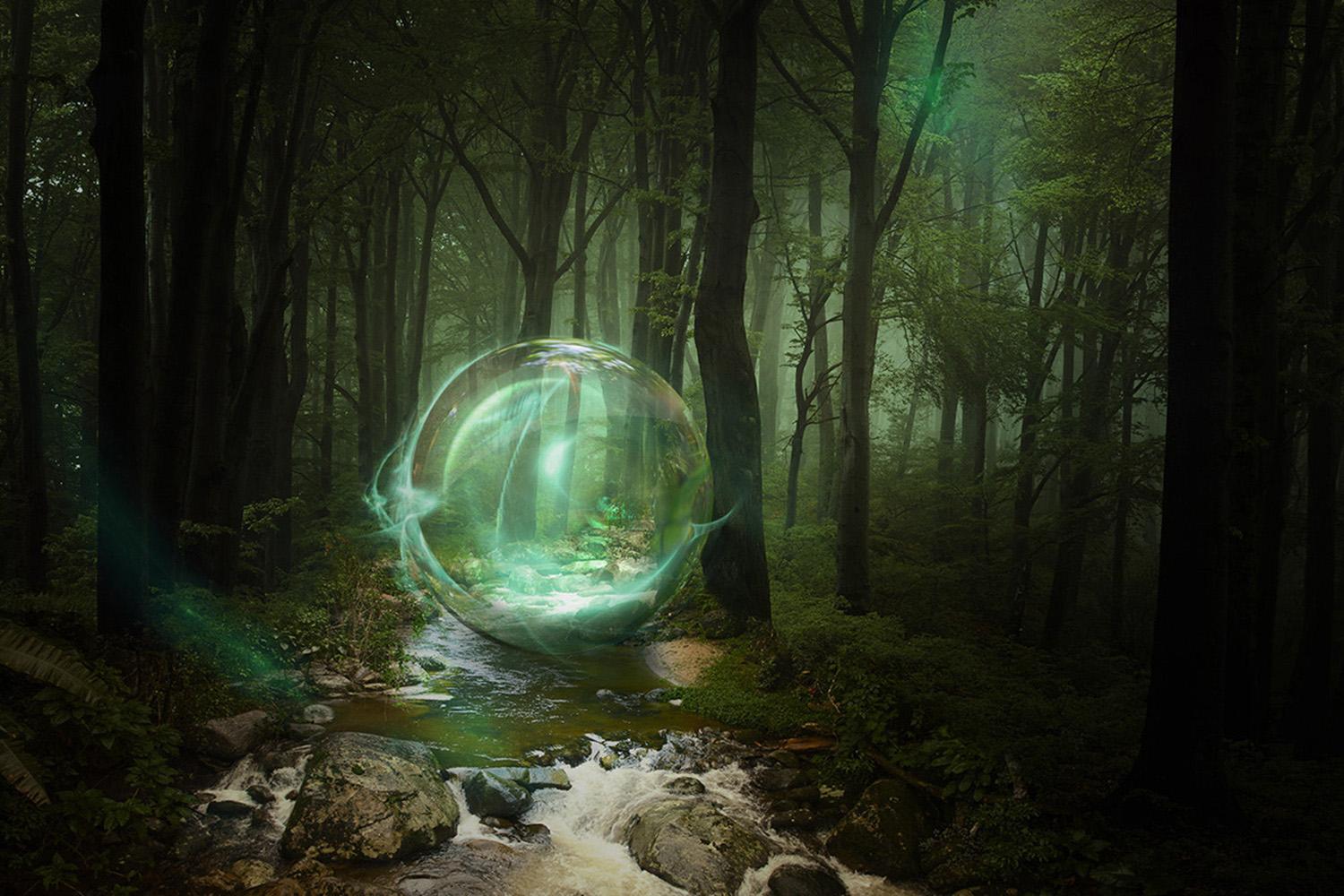 „Imaginary Forest 6“, Archiv-Pigmentdruck, gerahmt, 16 x 24 Zoll