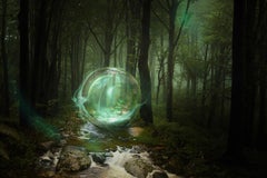 Foresta immaginaria 6, stampa a pigmenti d'archivio, incorniciata, 16 x 24 pollici