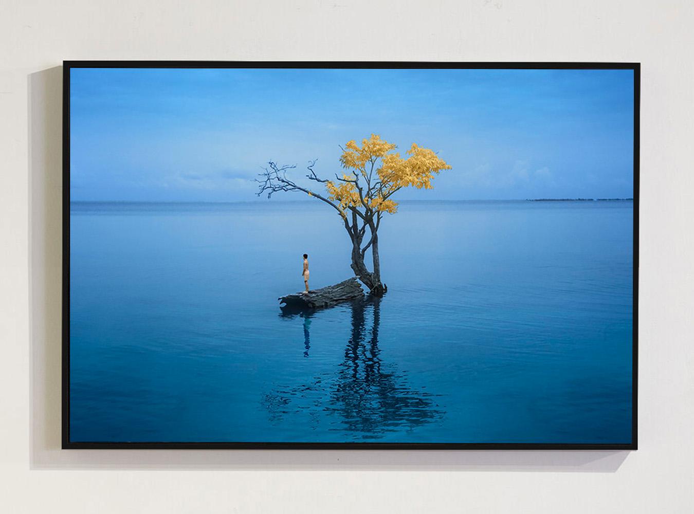 «El Amazonas», impresión contemporánea con pigmentos de archivo, enmarcada