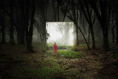 Through the Mirror 1, Contemporary Archival Pigment Print, Framed
