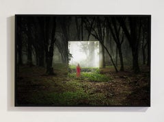 Through the Mirror 1, Contemporary Archival Pigment Print, Framed