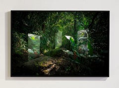 Through the Mirror 7, Contemporary Archival Pigment Print, Framed