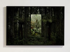 „Through the Mirror 6“, Archiv-Pigmentdruck, gerahmt, 16 x 24 Zoll