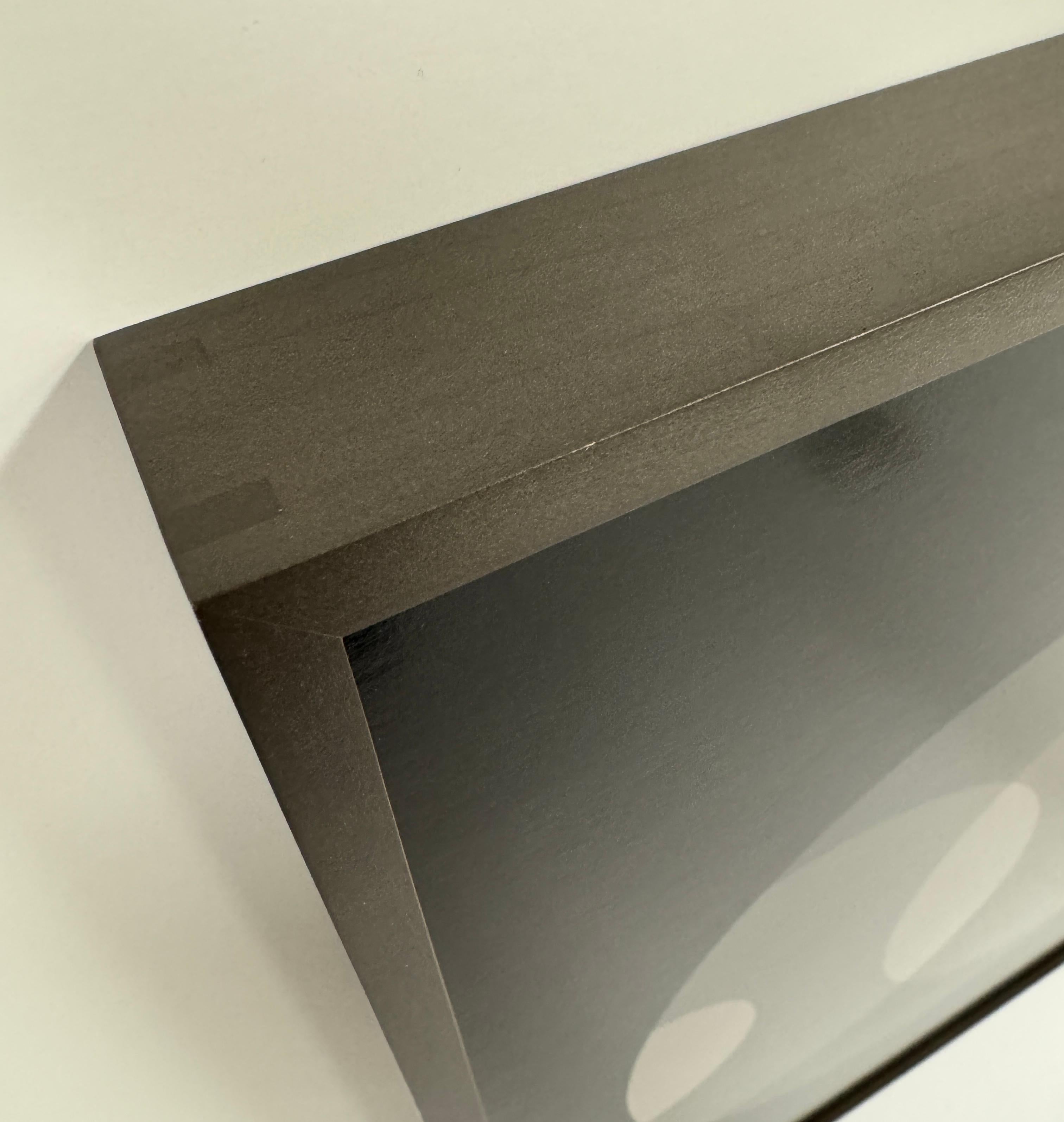 This black & white unique silver gelatin print 