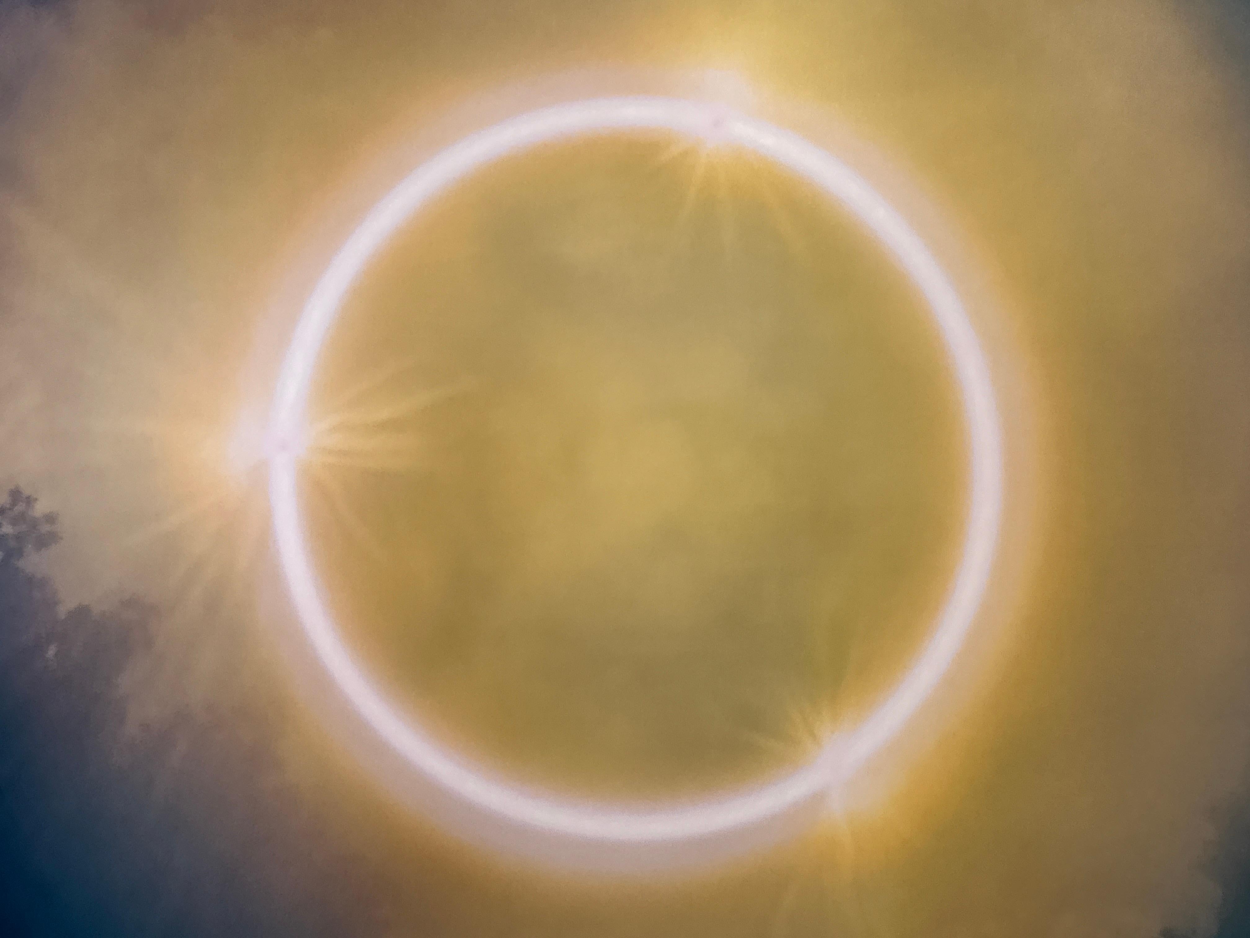 Color Photograph, Celestial, Trees, Nature, Abstract Skyscape, Limited Edition For Sale 1