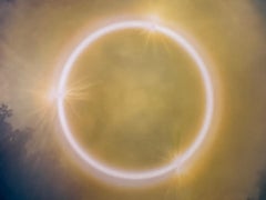 Fotografía en color, Celeste, Árboles, Naturaleza, Paisaje abstracto, Edición limitada