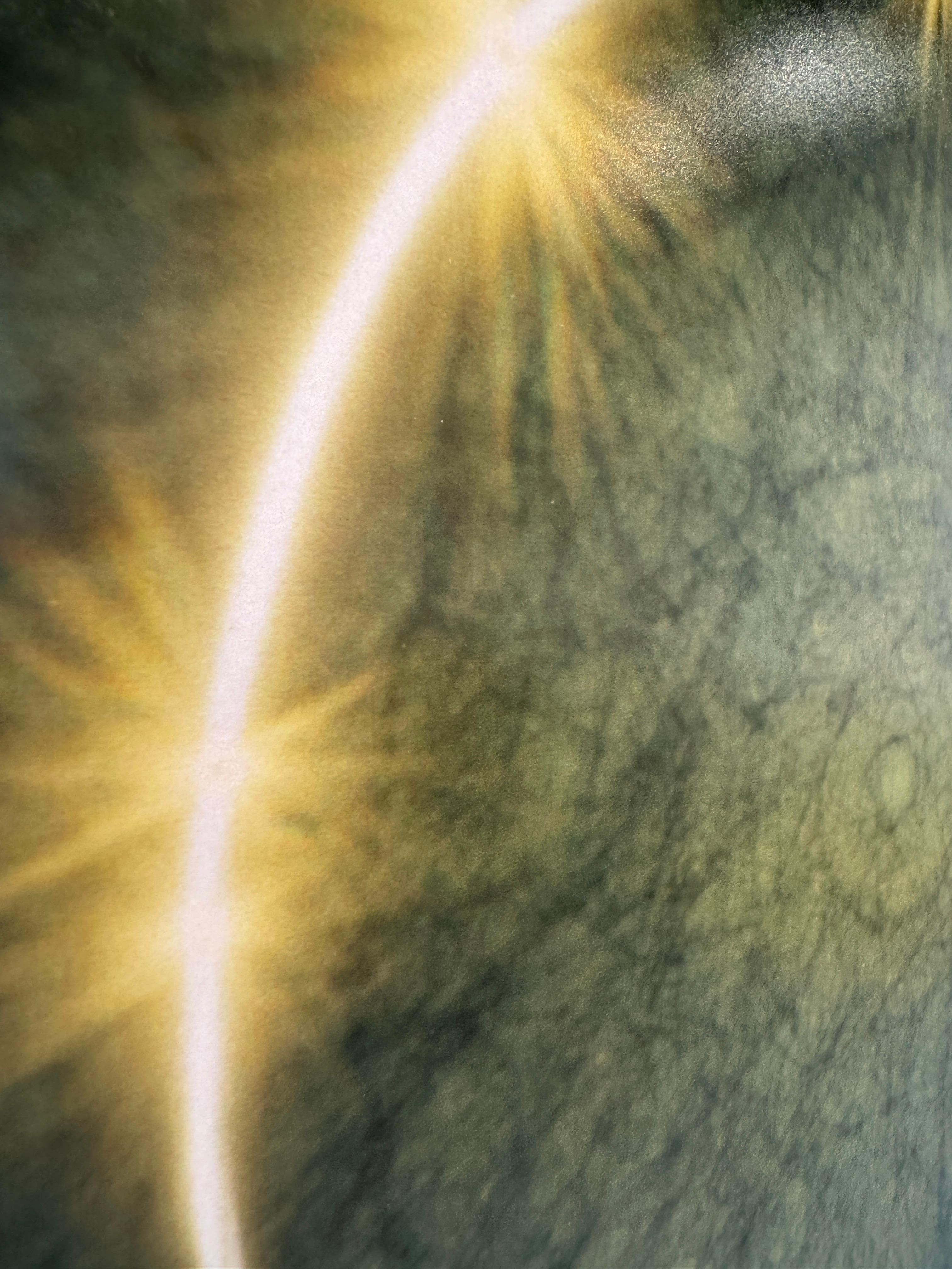 Color Photograph of the Sun, Celestial Nature, Landscape, 2025 For Sale 5