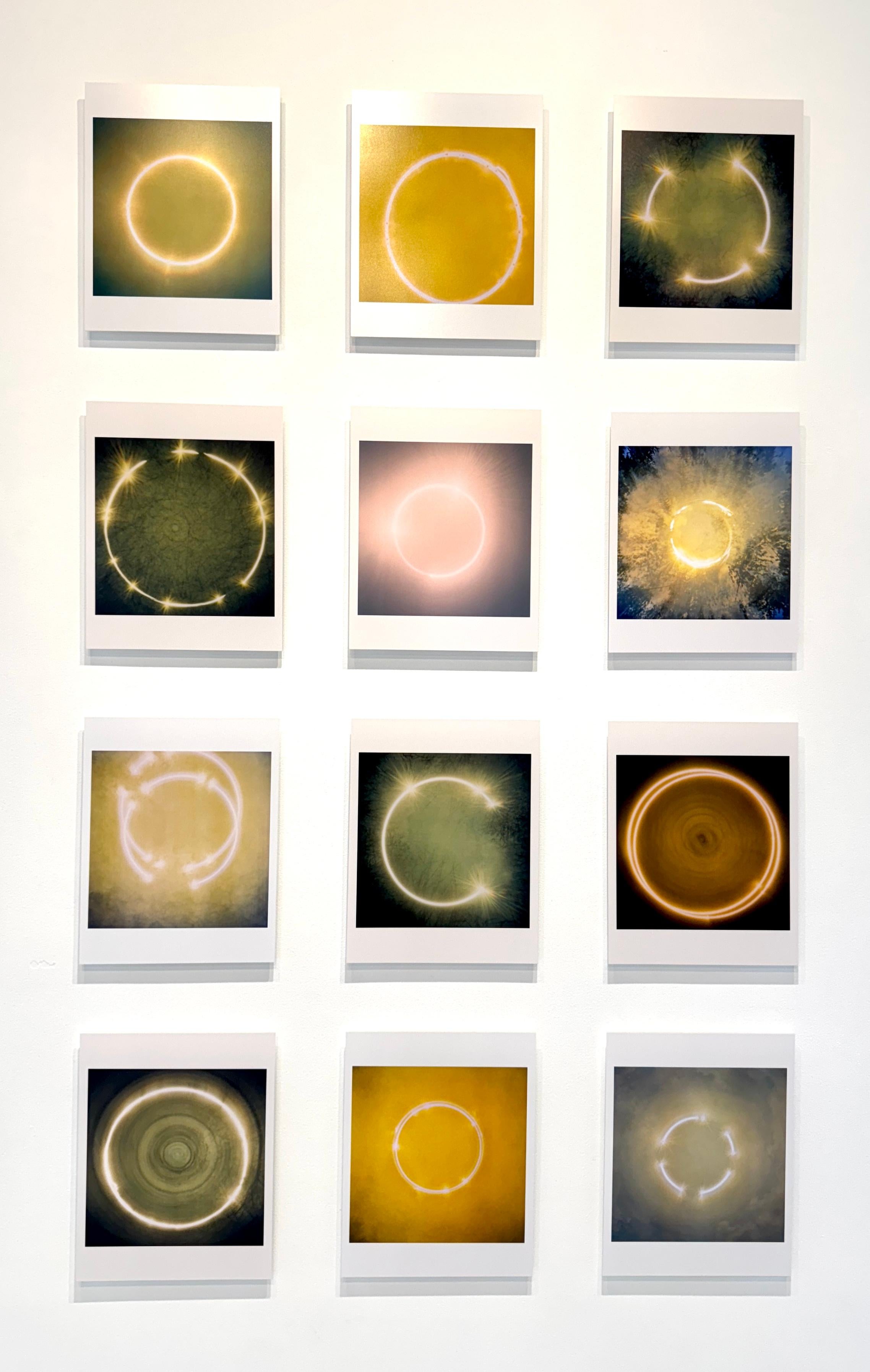 Farbfotografie der Sonne, Bäume, Natur, Landschaft, 2025 im Angebot 6