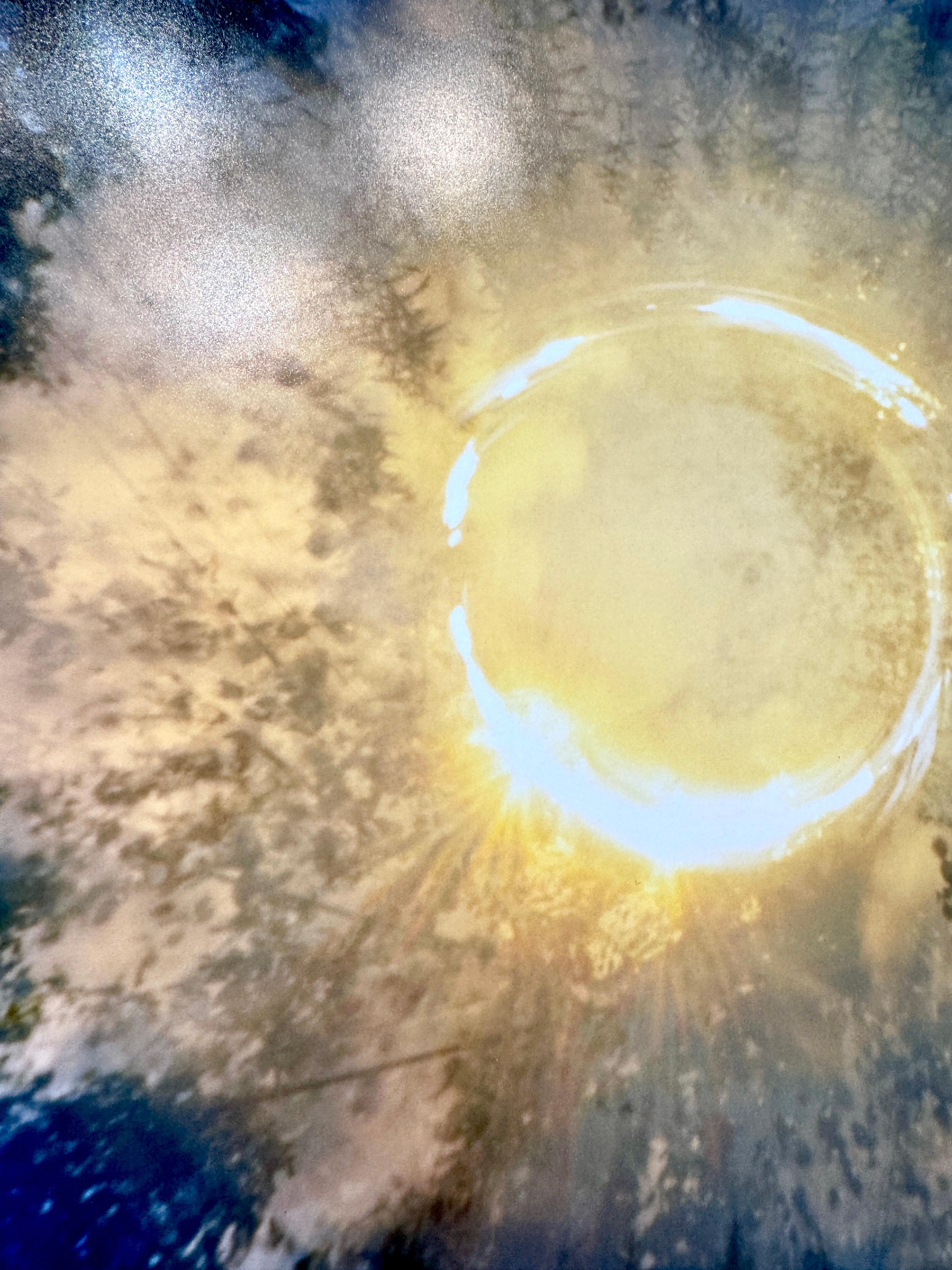 Farbfotografie der Sonne, Bäume, Natur, Landschaft, 2025 (Beige), Landscape Photograph, von Betsy Kenyon